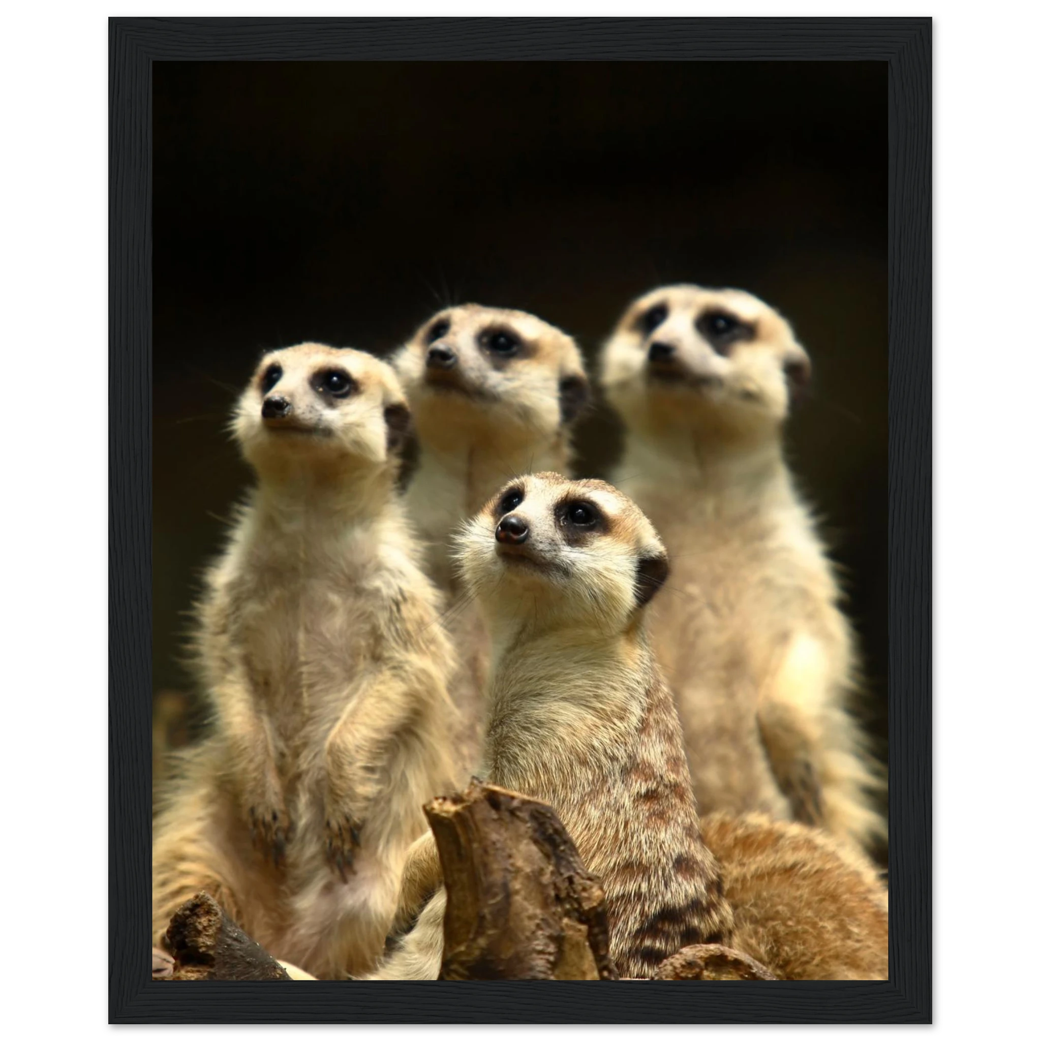 33f6aa72-4ea5-4bb5-a204-efc8cbd1cab3