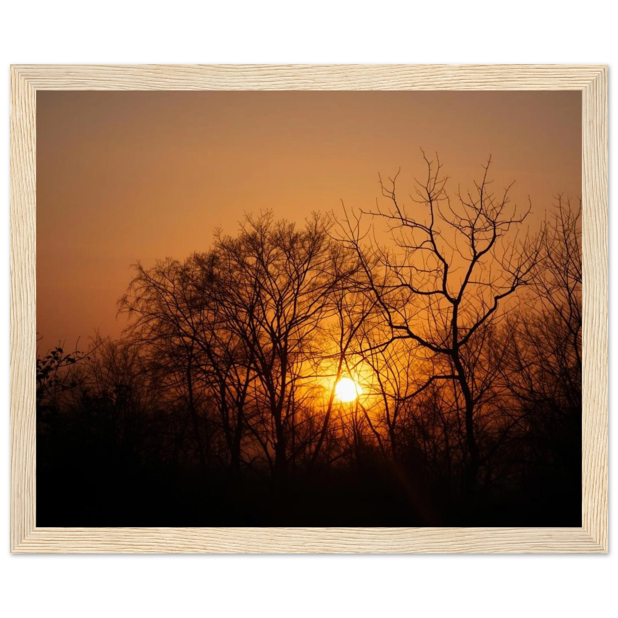 3414612f-c76e-4256-bfe1-e2cd7627c7bc