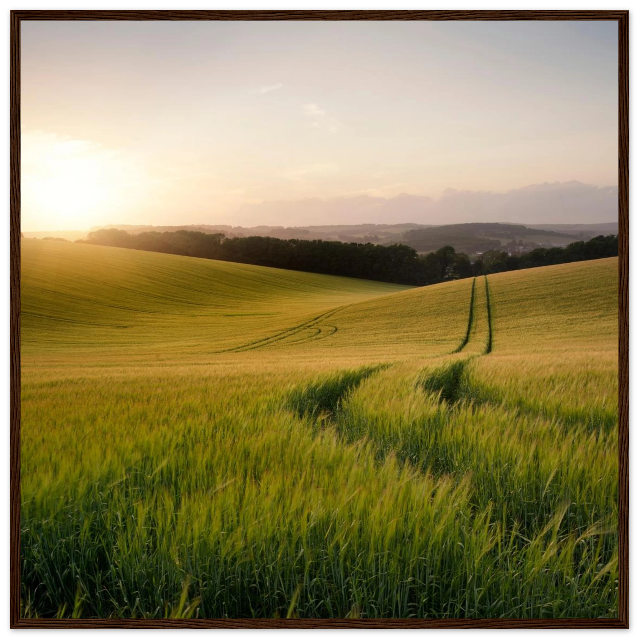 341884f2-2db2-4343-b660-f4bb282531fc