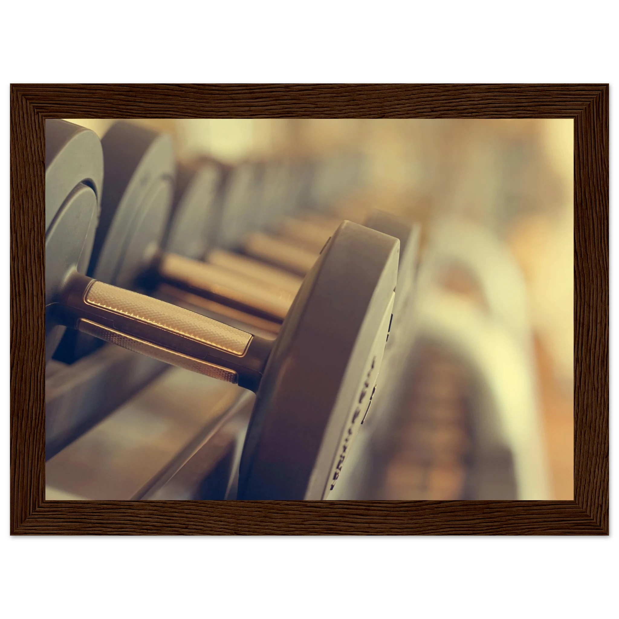 3440c474-ea4a-4e0d-9586-1bb313fab92e