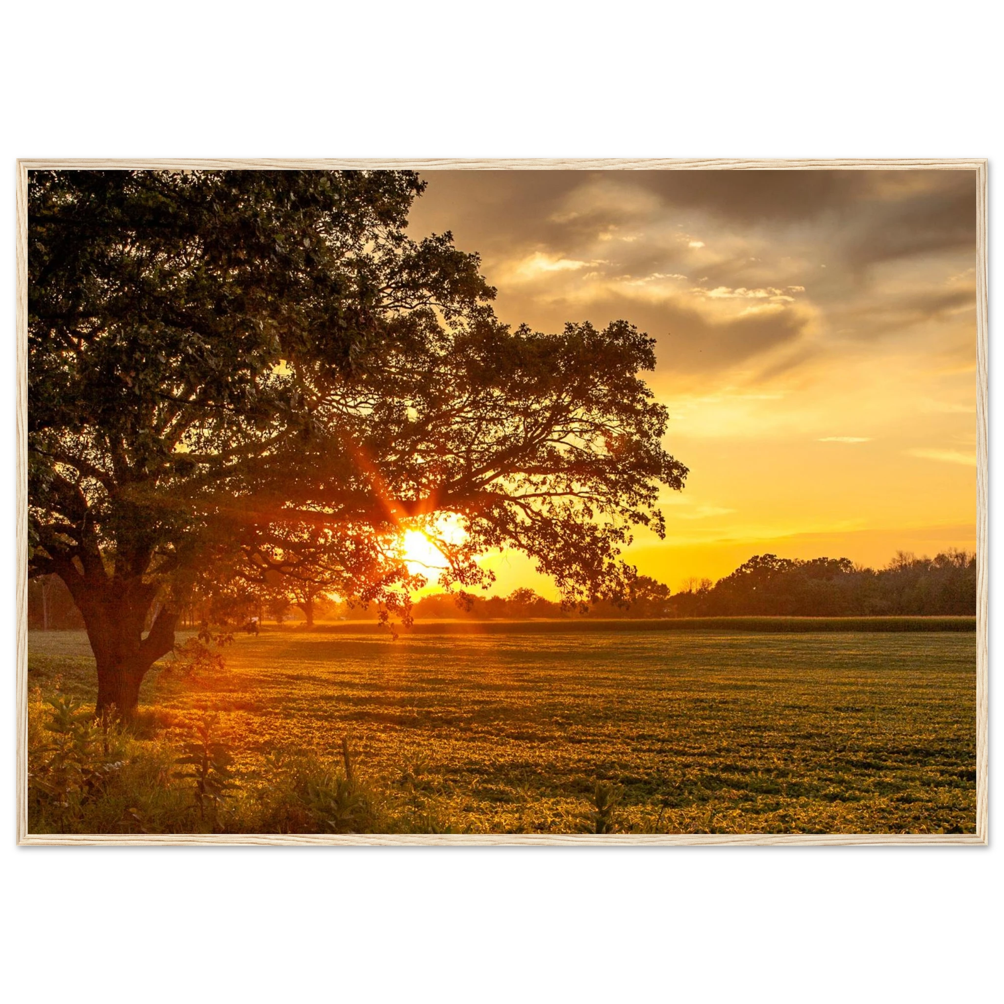 345c4e61-6965-4cff-ab93-f94ce08e7aa5