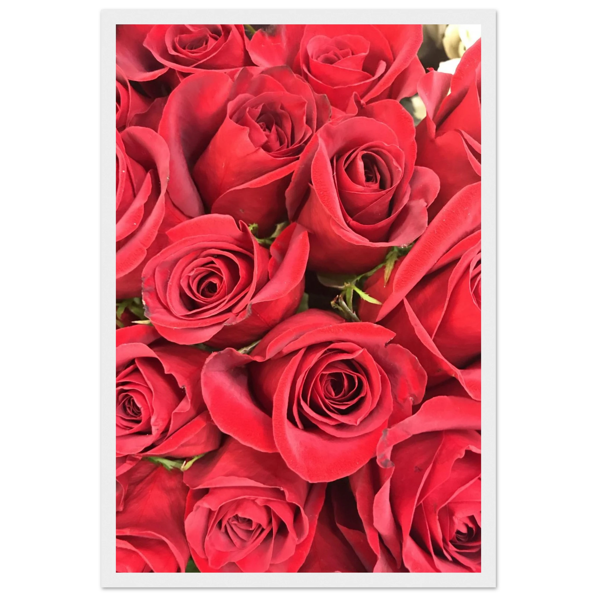 3462d5f0-a80d-43fa-a8e2-7d48757552a4