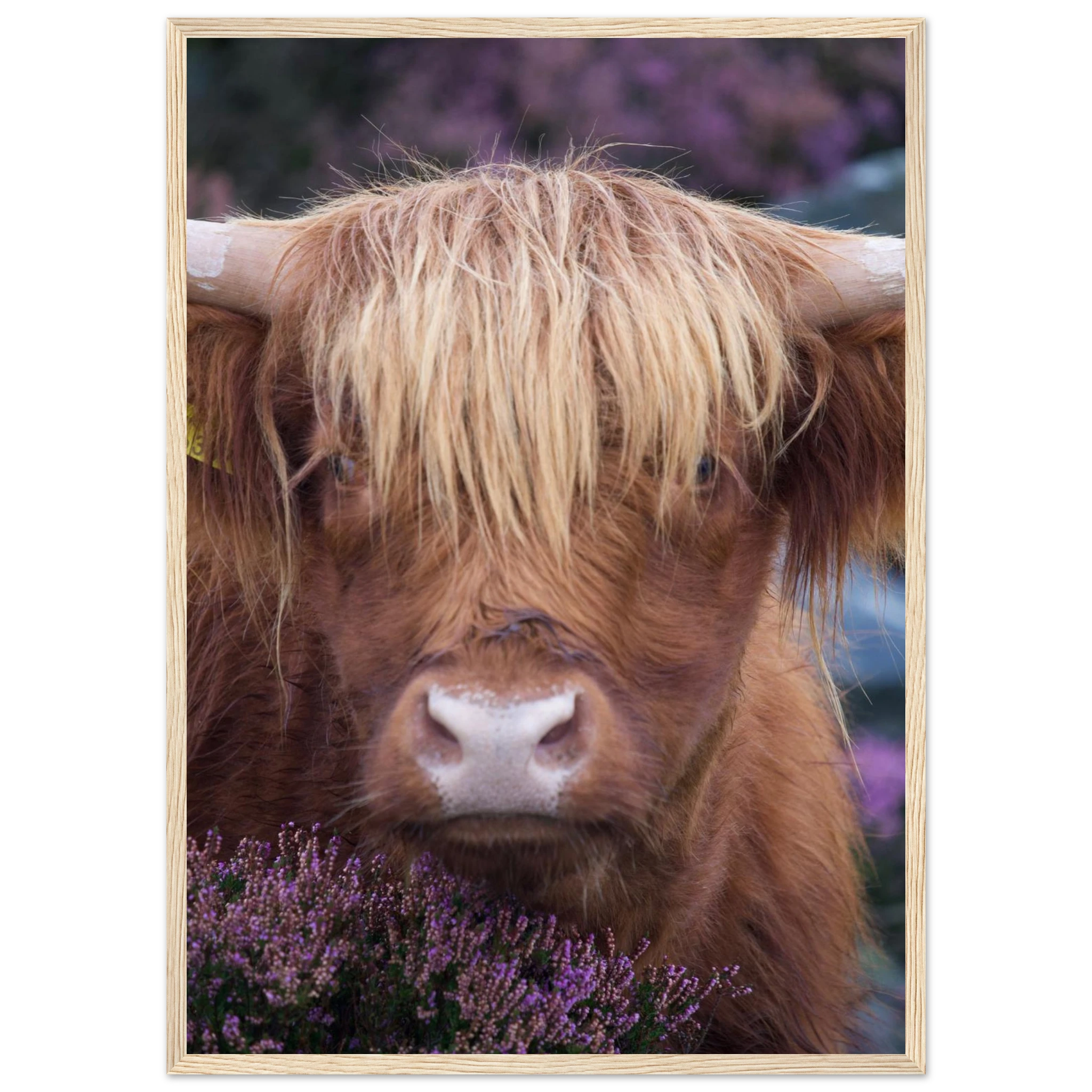 3486bb72-b0d4-4408-b0c0-54b1a09cc837