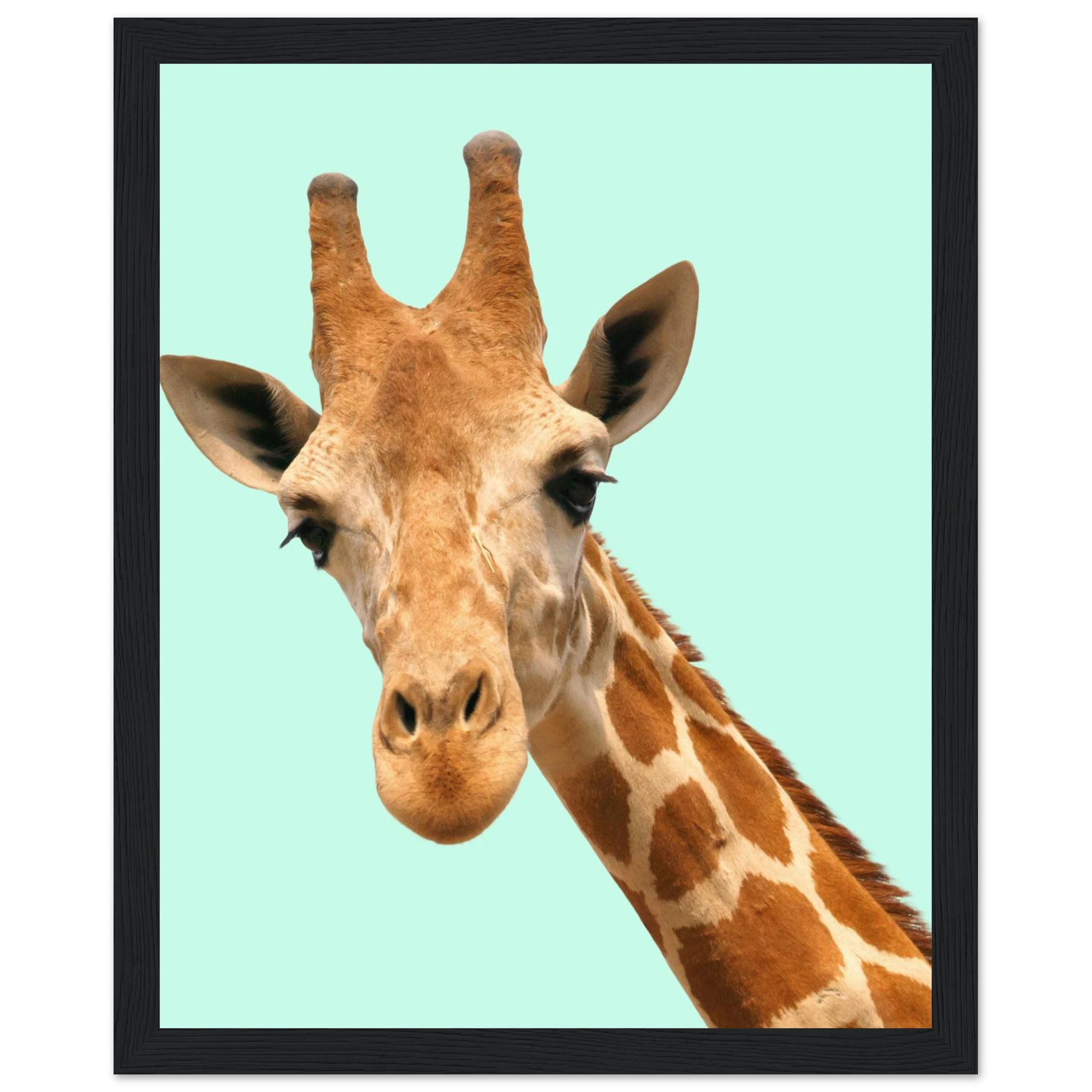 348bee6d-732c-4b3a-9428-d241b78c452e