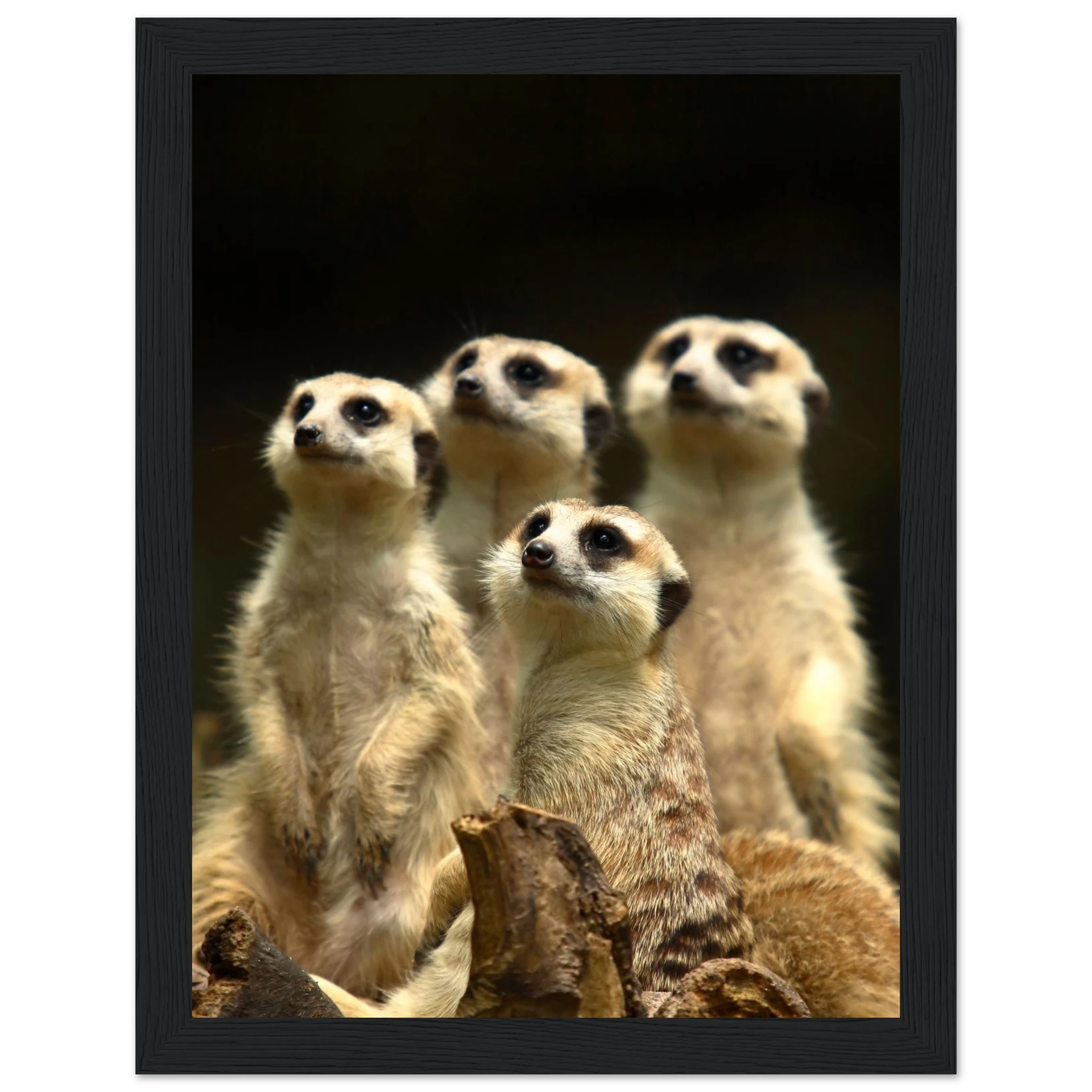 3498e206-9245-4fed-b249-27e9a5c4cd2e