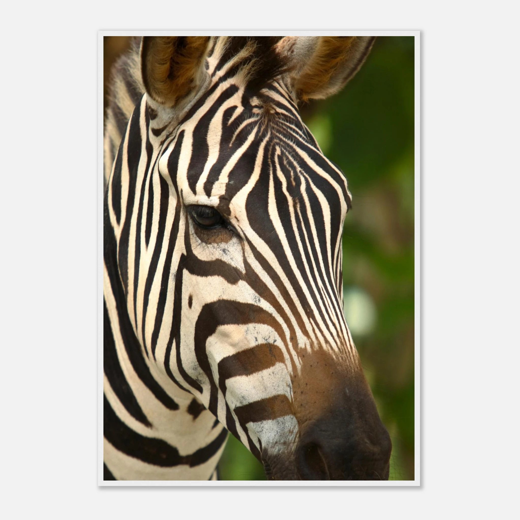 349dfa8b-2852-4322-8994-0e82137db9cd