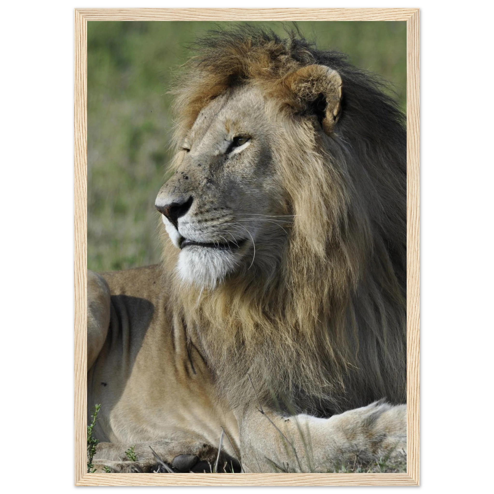 34d73129-8385-4632-b372-ea45bb5a8a43