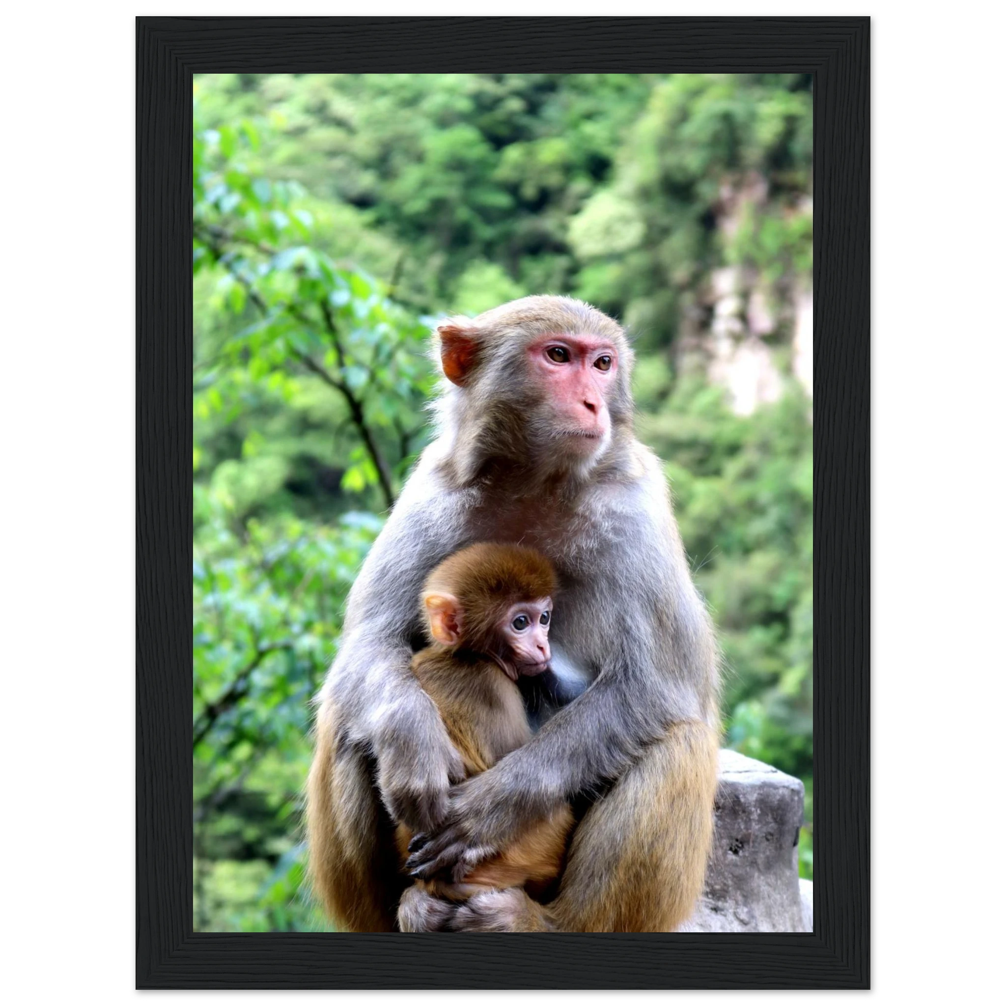 34d879cf-1859-4fac-b0f1-b23b1a5230c8