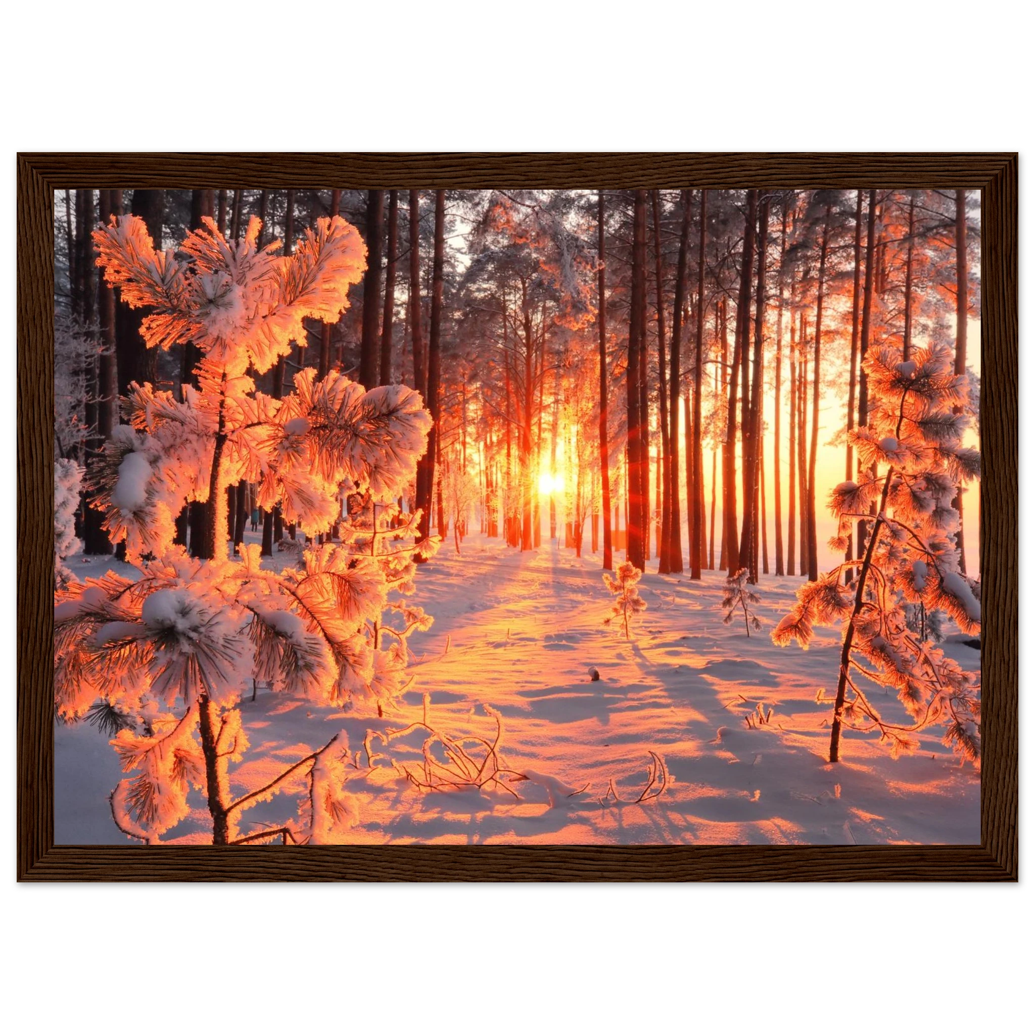 34de326c-b916-4b5d-951b-a583356c4405