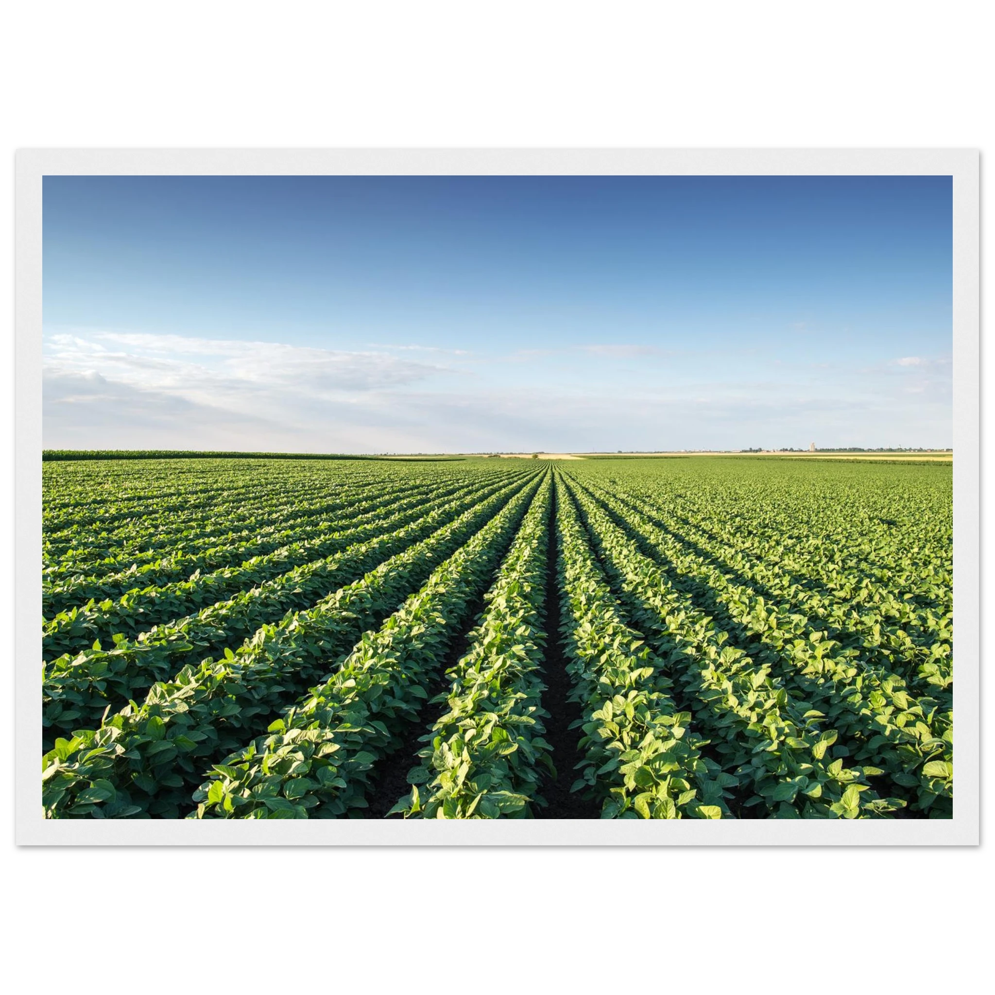 34e80352-06bf-4c4b-a2b6-be5602deda0a