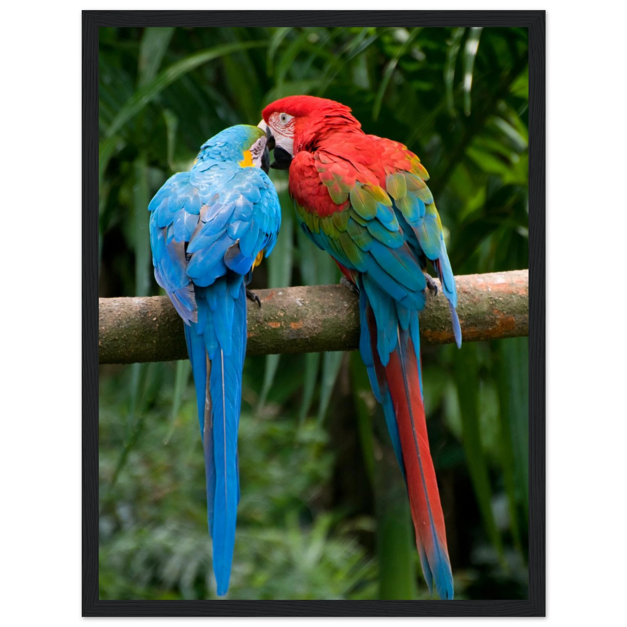 3518cd8c-a382-4f94-b9ca-38847686d79b