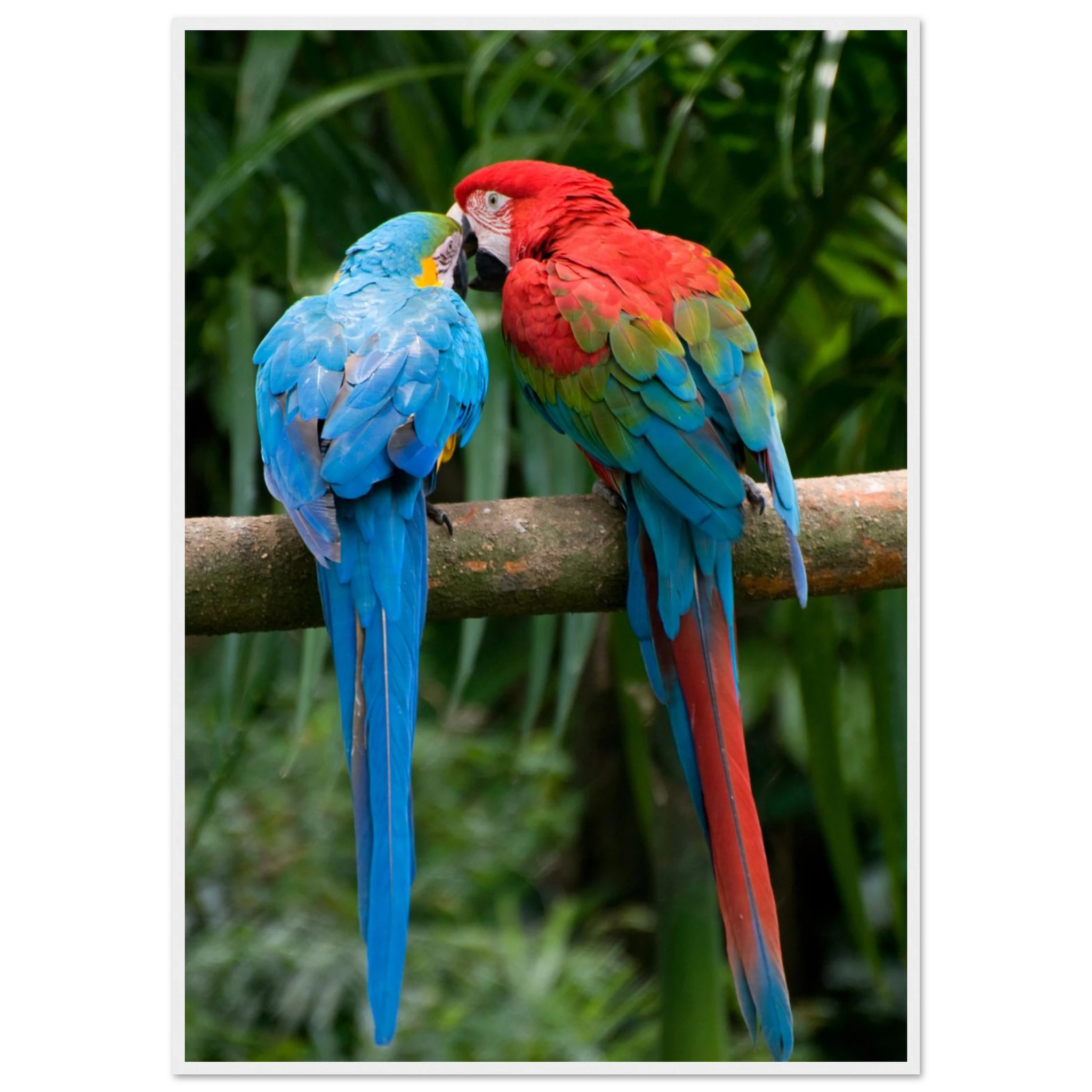 352093a5-a05b-489b-9a89-f939a735a7a4