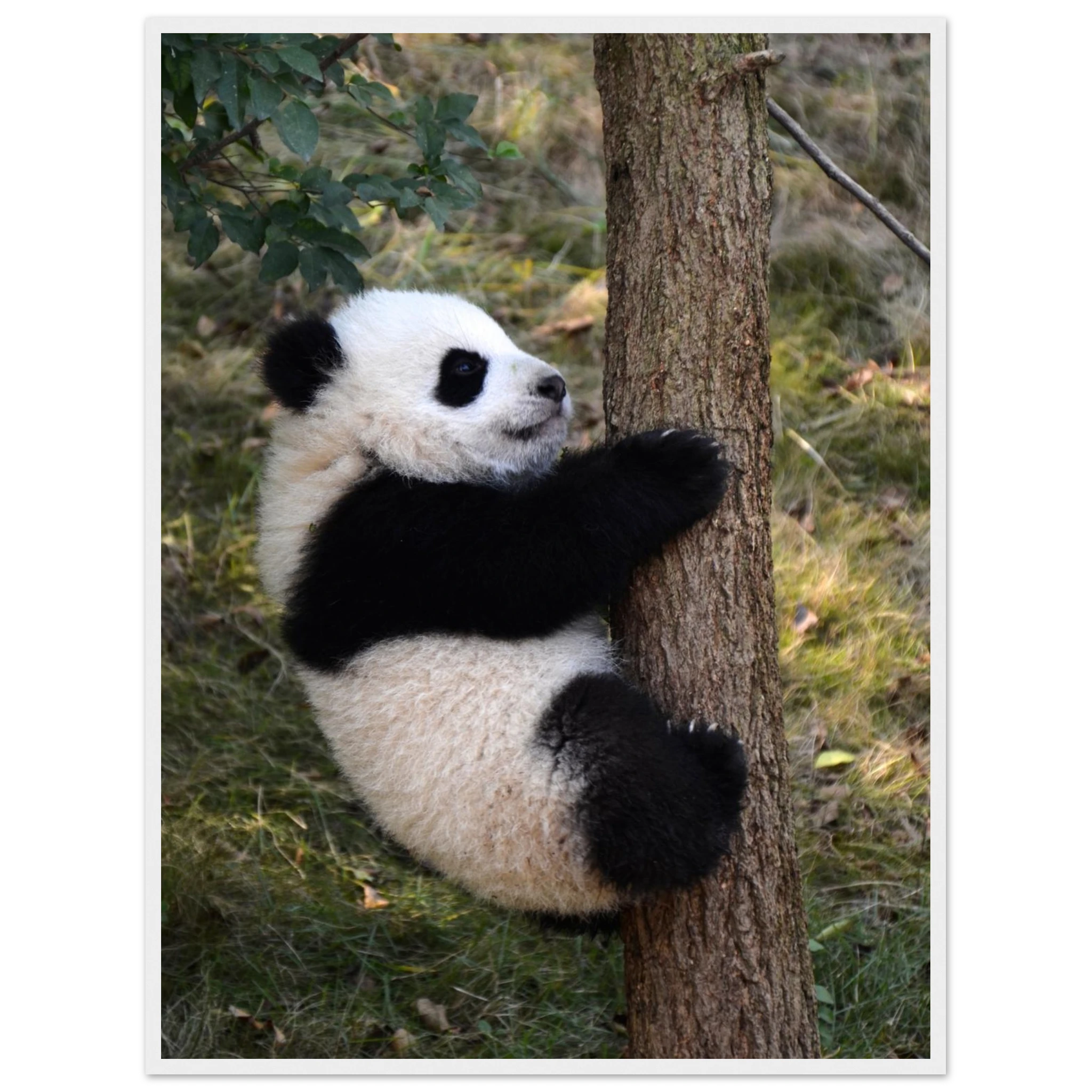 3520c7a0-b5b7-46b2-a119-e6a20c29be12