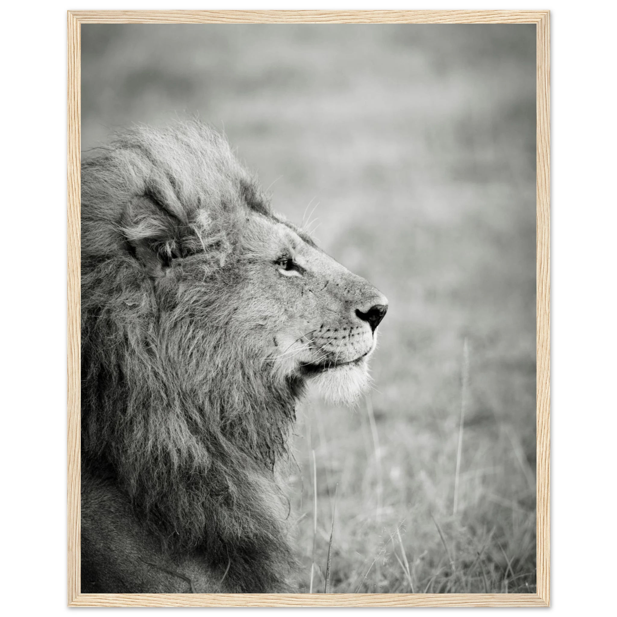 352d32a7-aea3-4e56-8ec8-054d52276d54