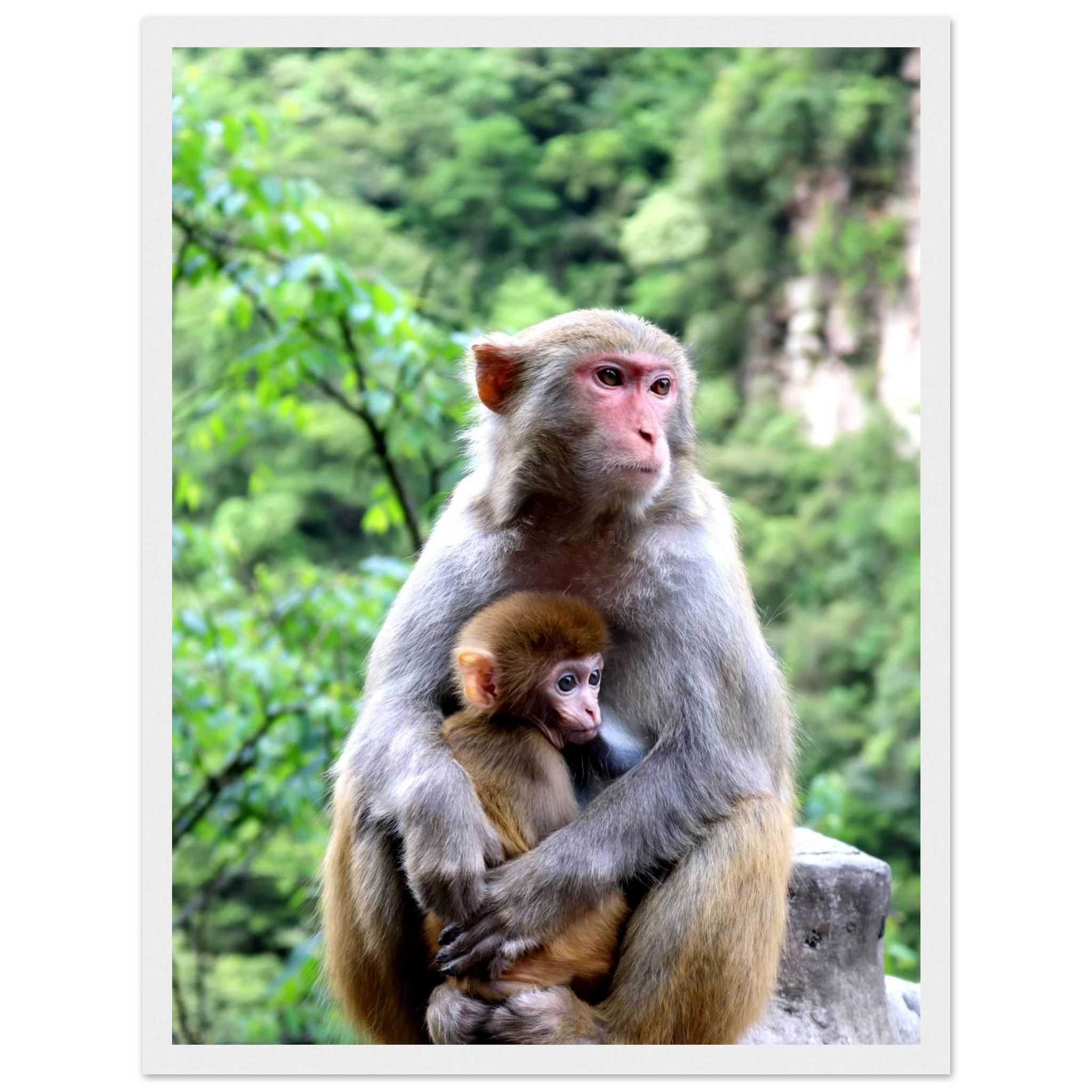 352f6149-0af9-42ed-ba66-7765c3c79de2