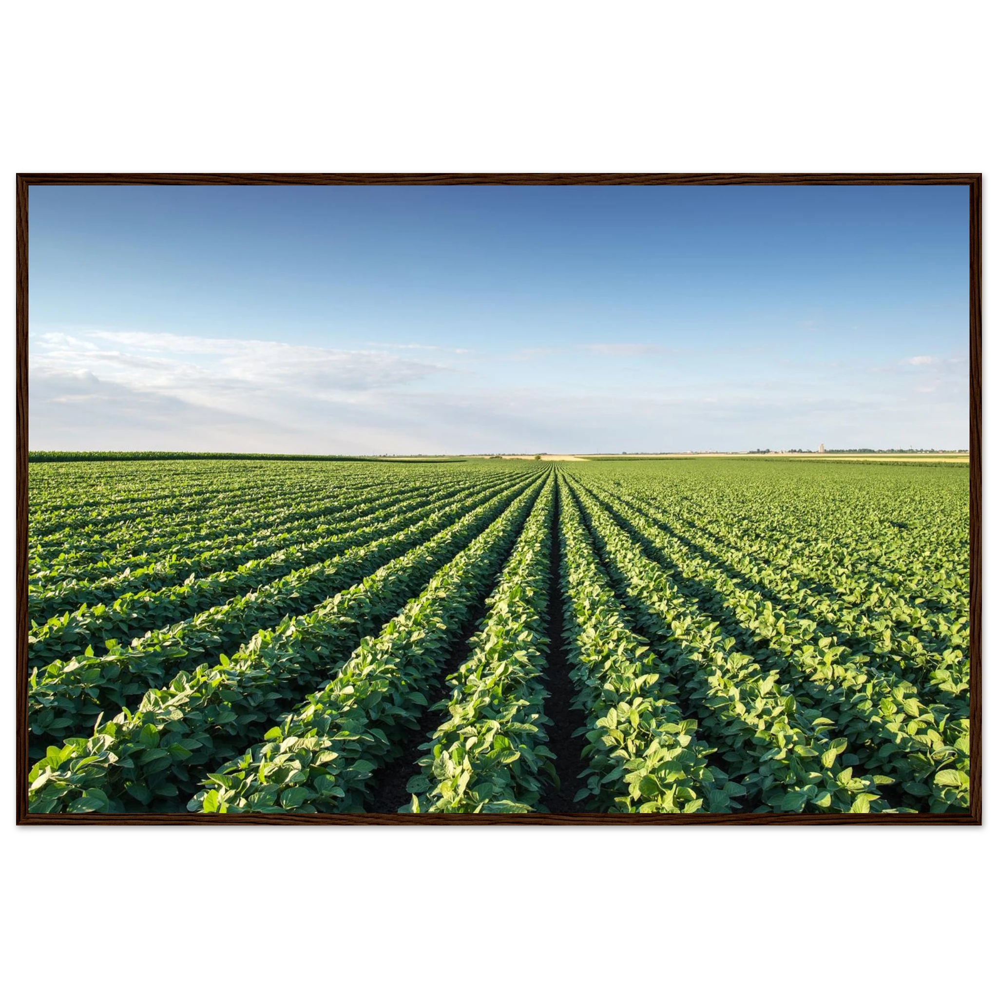 35327735-d486-4c31-b0b5-fdf92446b4ed