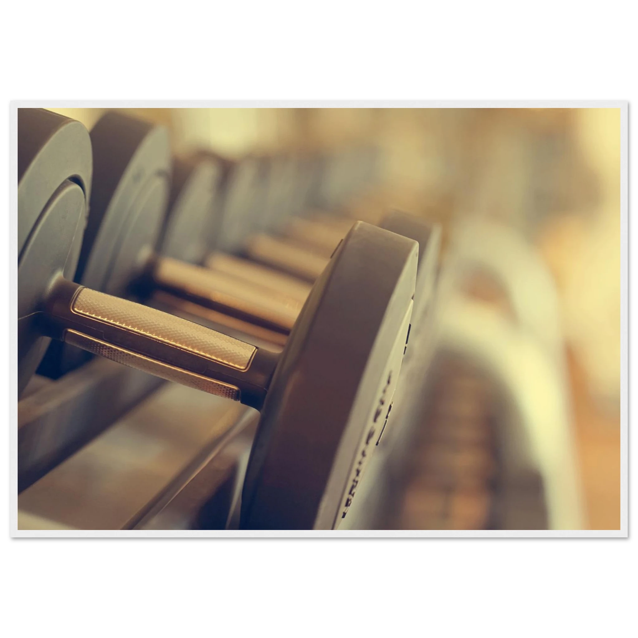 35398c5b-831f-4b8f-b123-79ae3eac712a