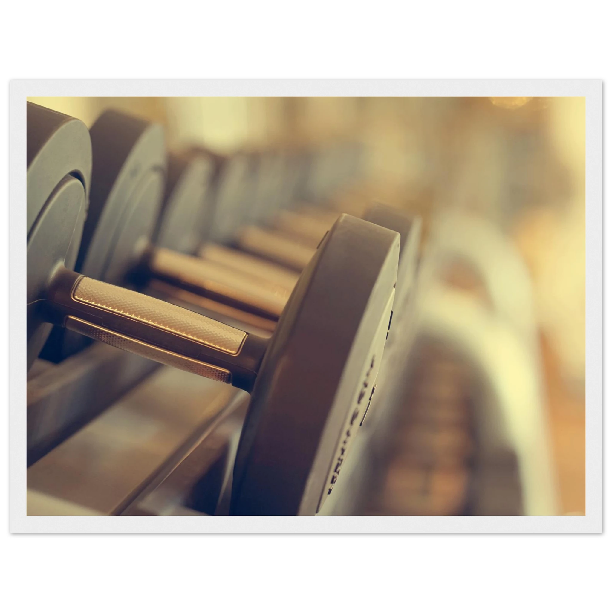 355aad78-f580-4801-826b-b0a4ade8e53e