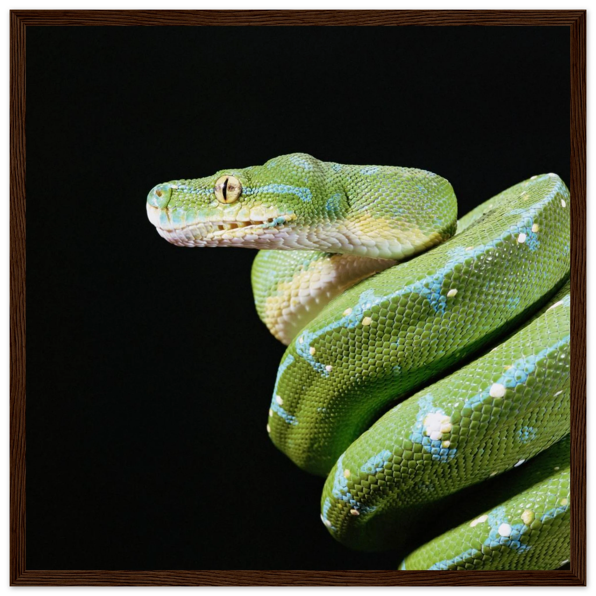 35d90cac-68a1-4ec1-9228-28244e79dc8a