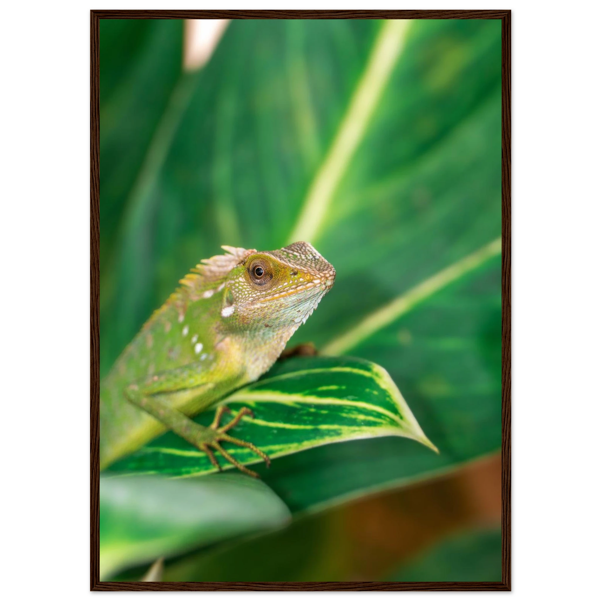 36040f07-0ec9-4cb8-b361-5abcb7a1ca16