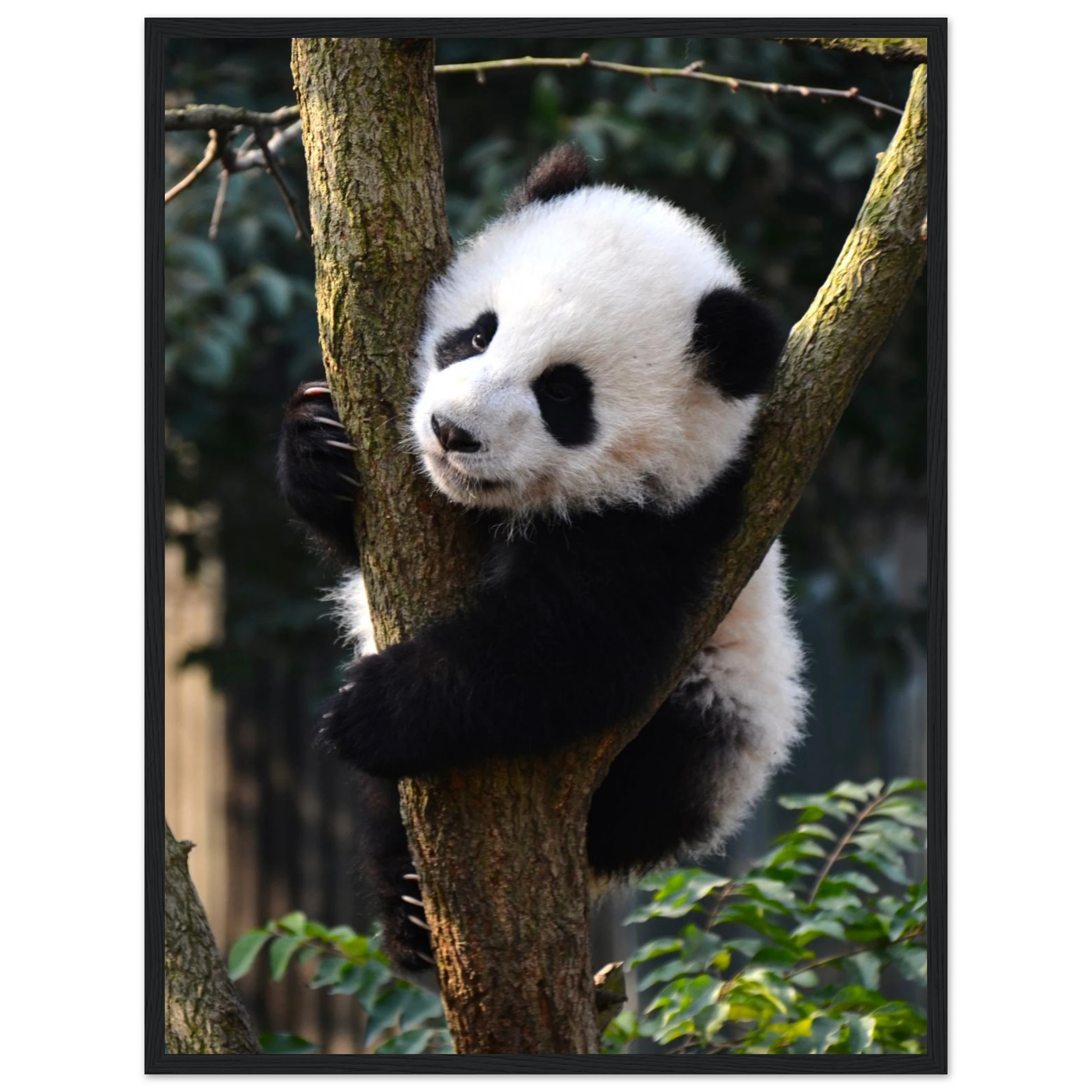 3609db66-7c8a-4543-a1d0-99ff5d90d5b0