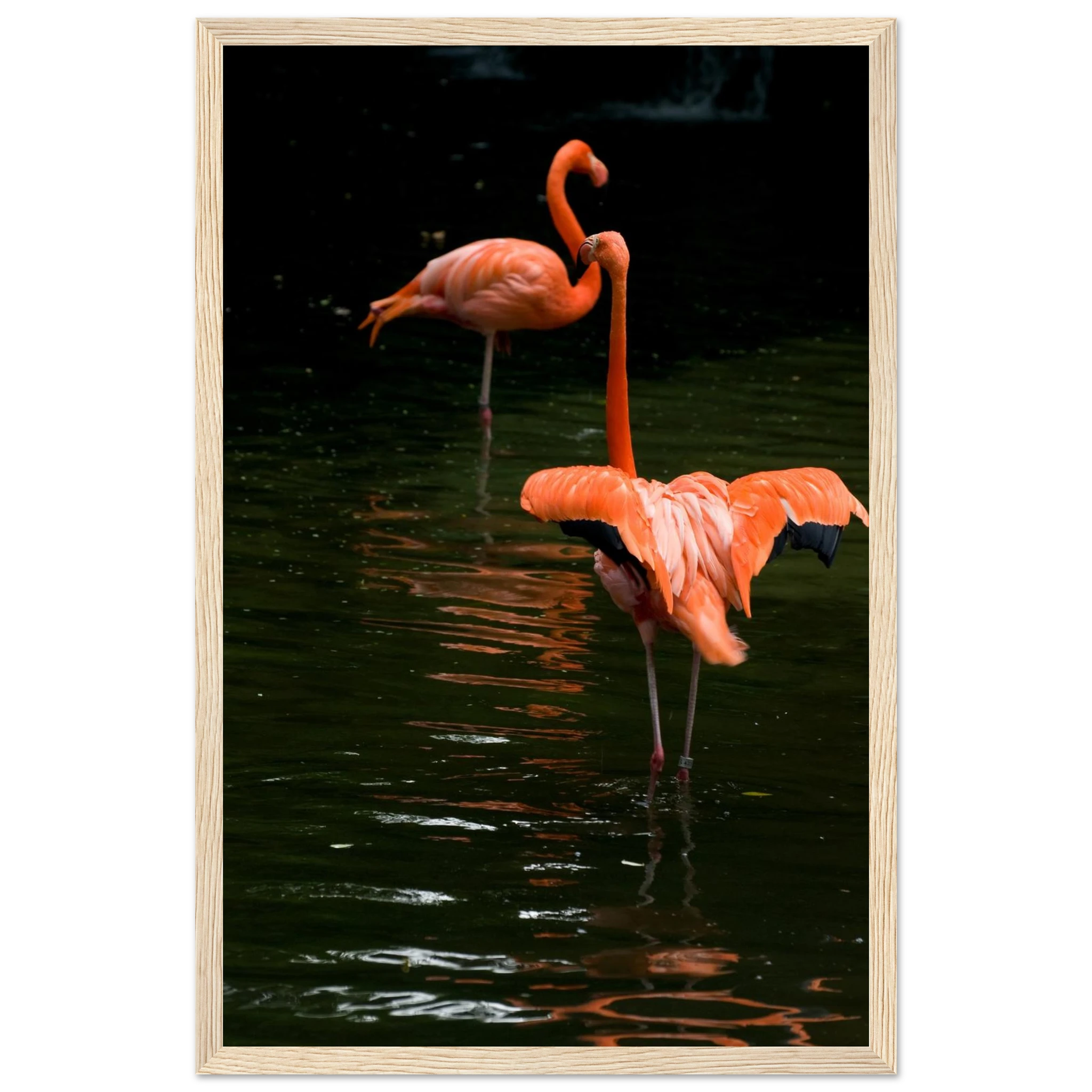 3618cc9f-80b4-4a35-b461-690722fe35a6