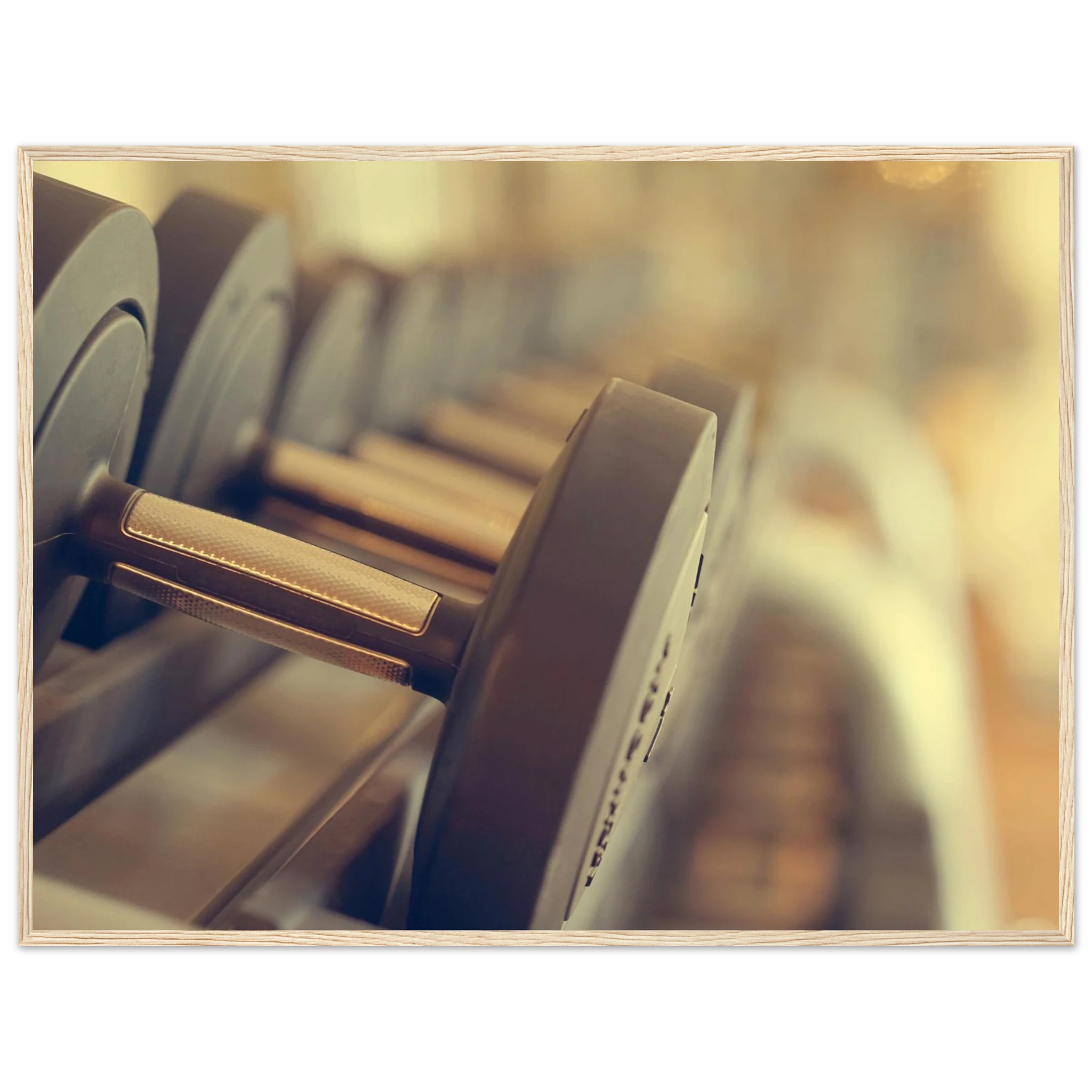 361cdcbe-43c6-42c7-a014-43001c2e2d26