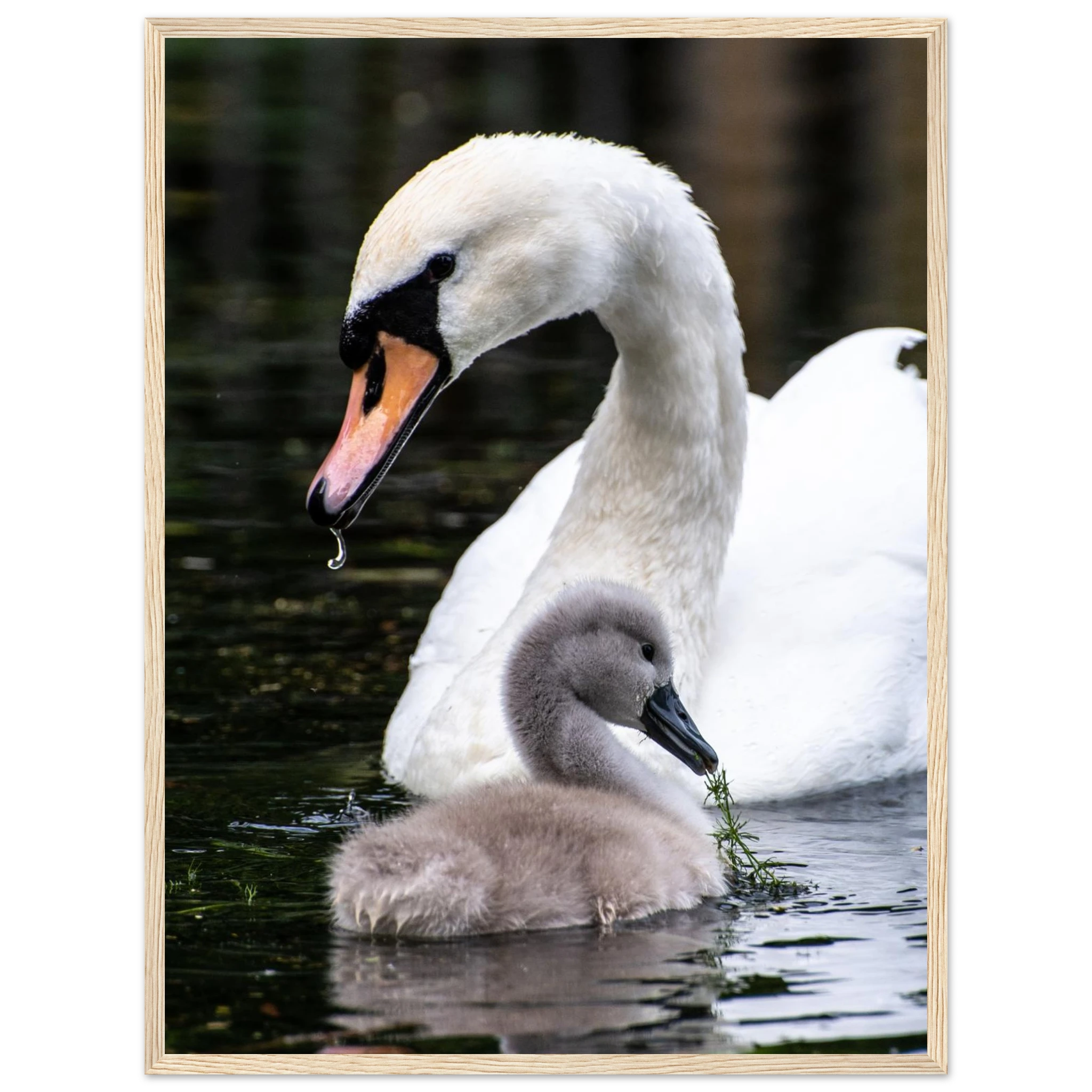 363fb1df-d307-412f-825e-78562f667f25