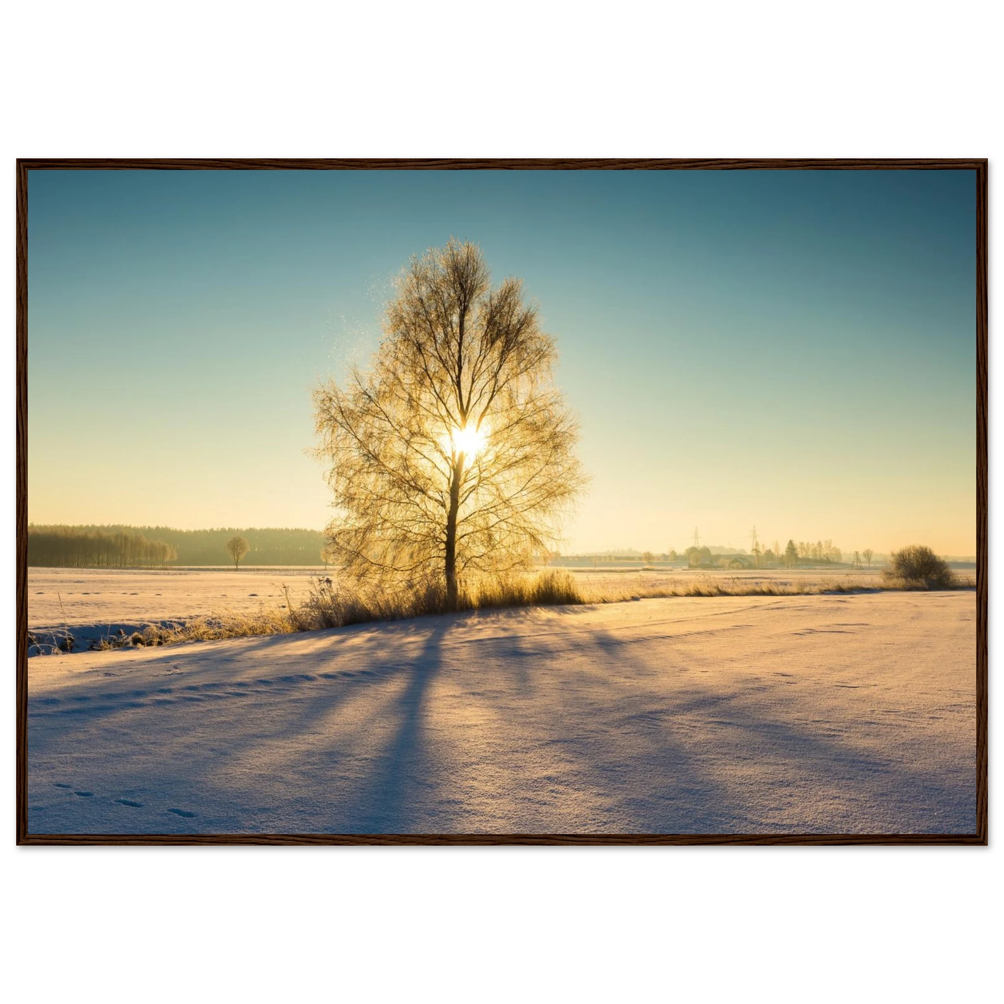 364c1292-9e4e-4afc-b9fc-e5928eb290d5