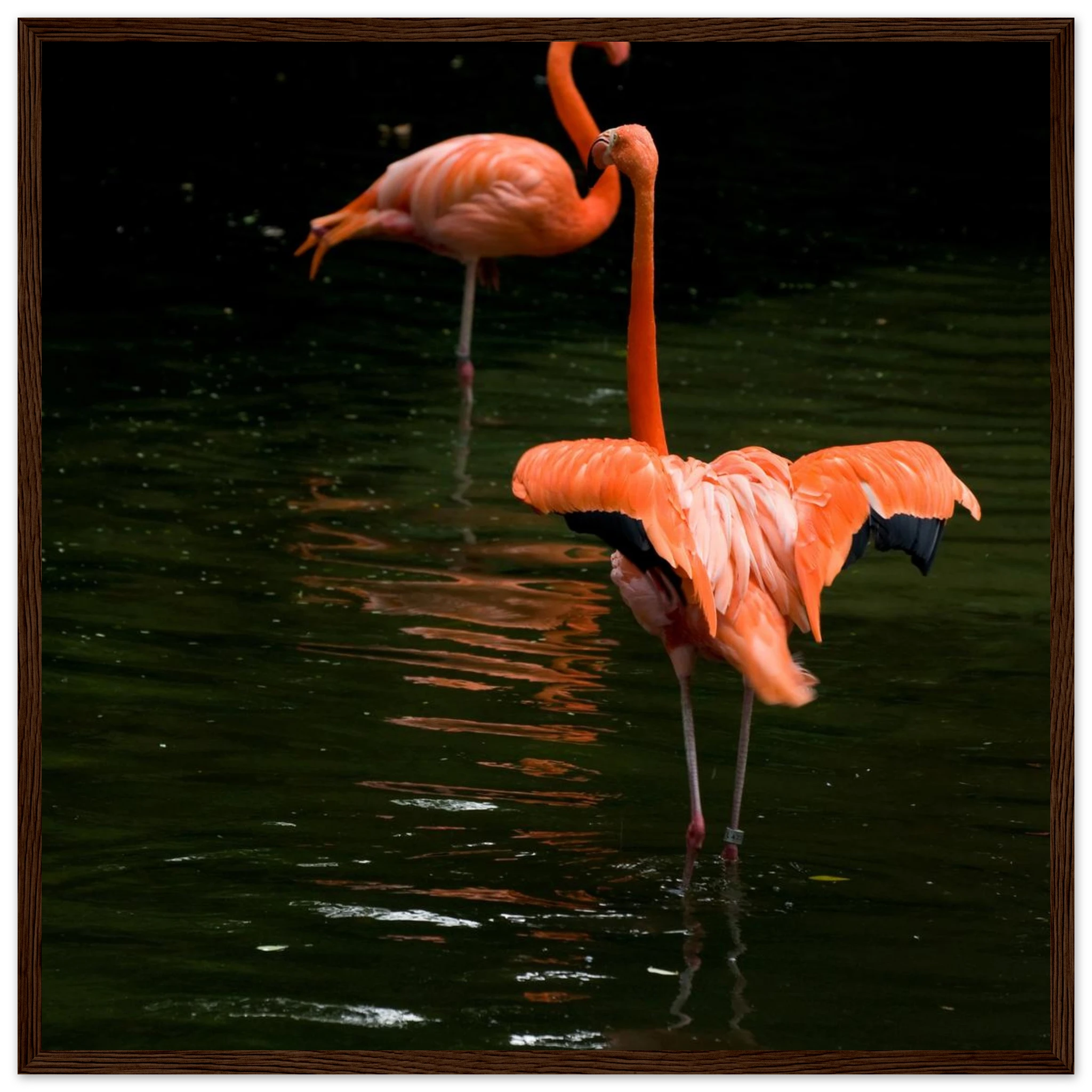 365e0f06-31e6-4101-9a47-2a2552dca858