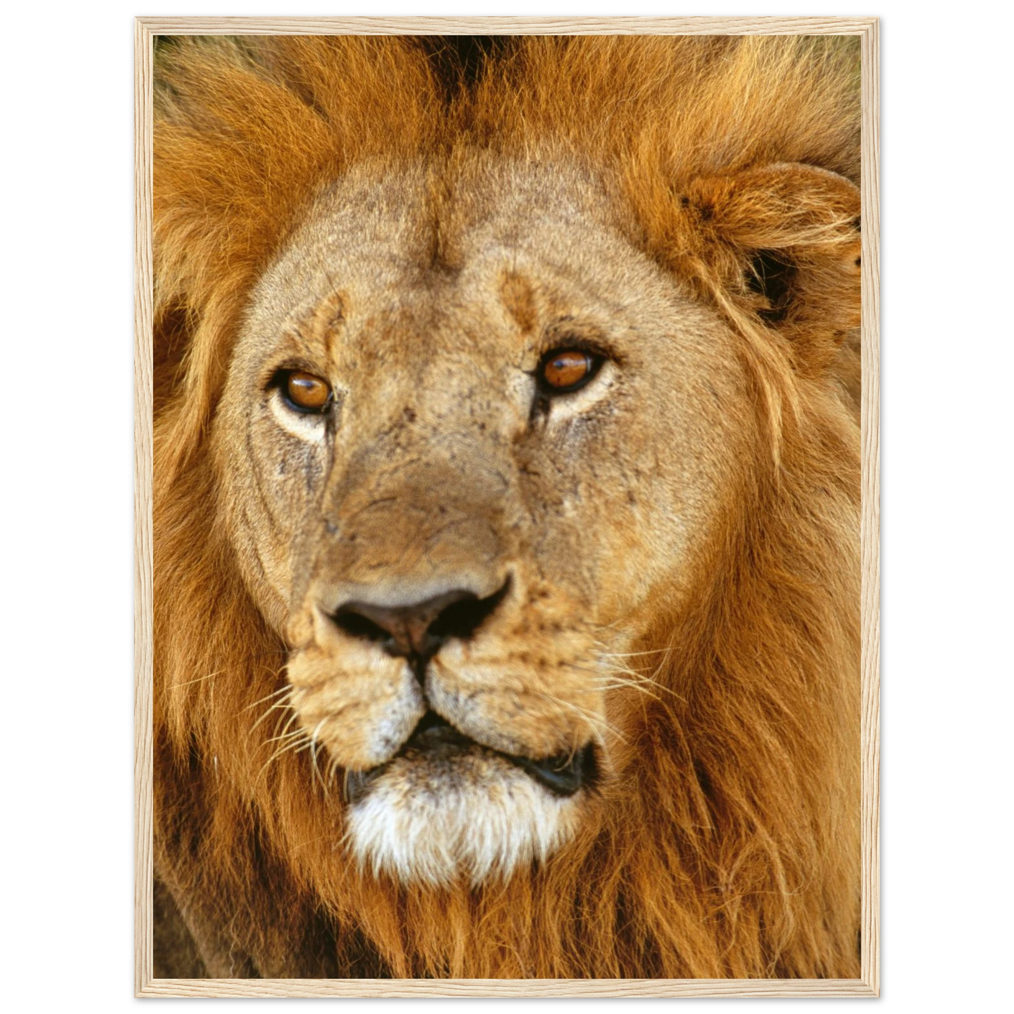 366d44da-5817-44e7-8e68-181859391937