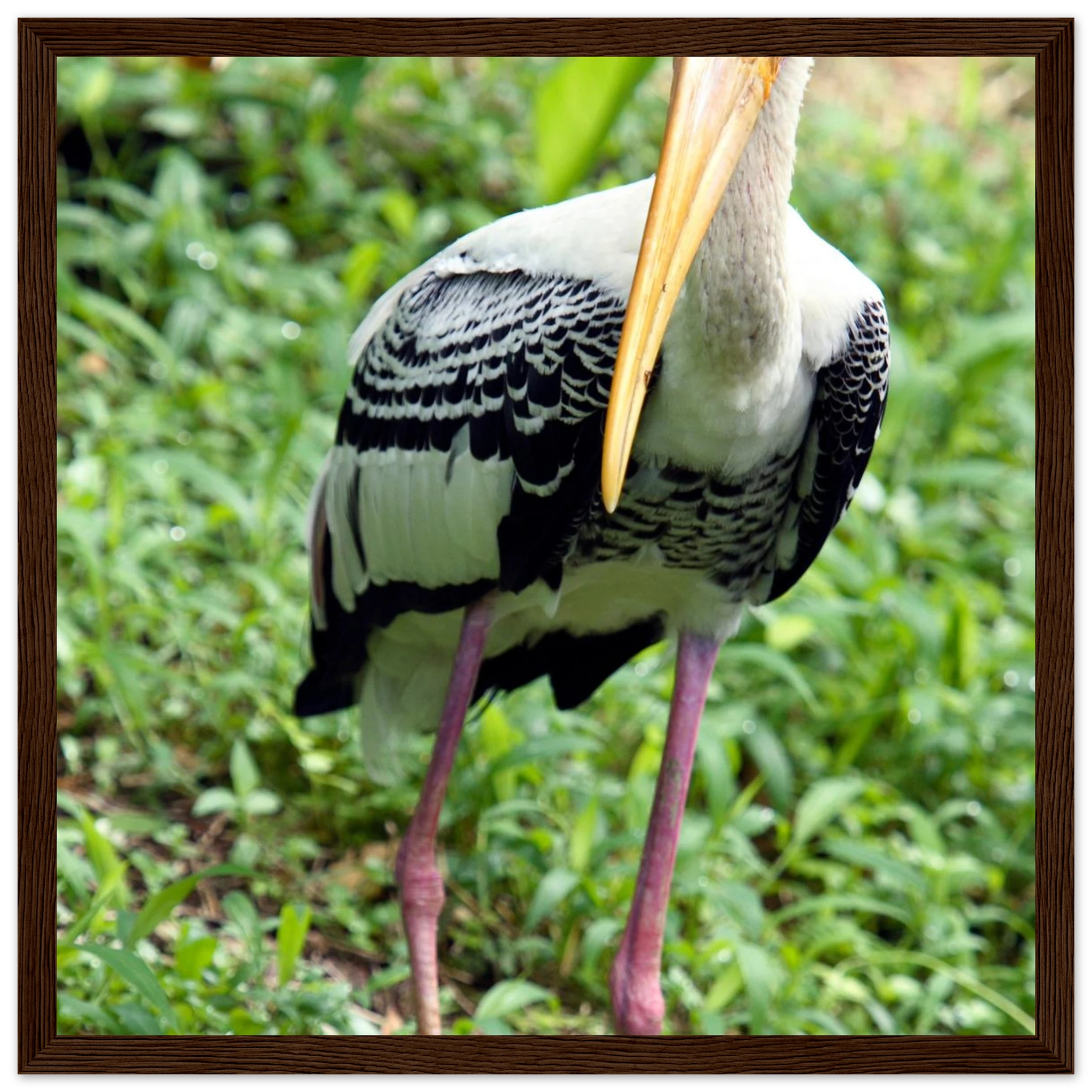 3680bfb5-32f3-432f-8115-d1880aa33433