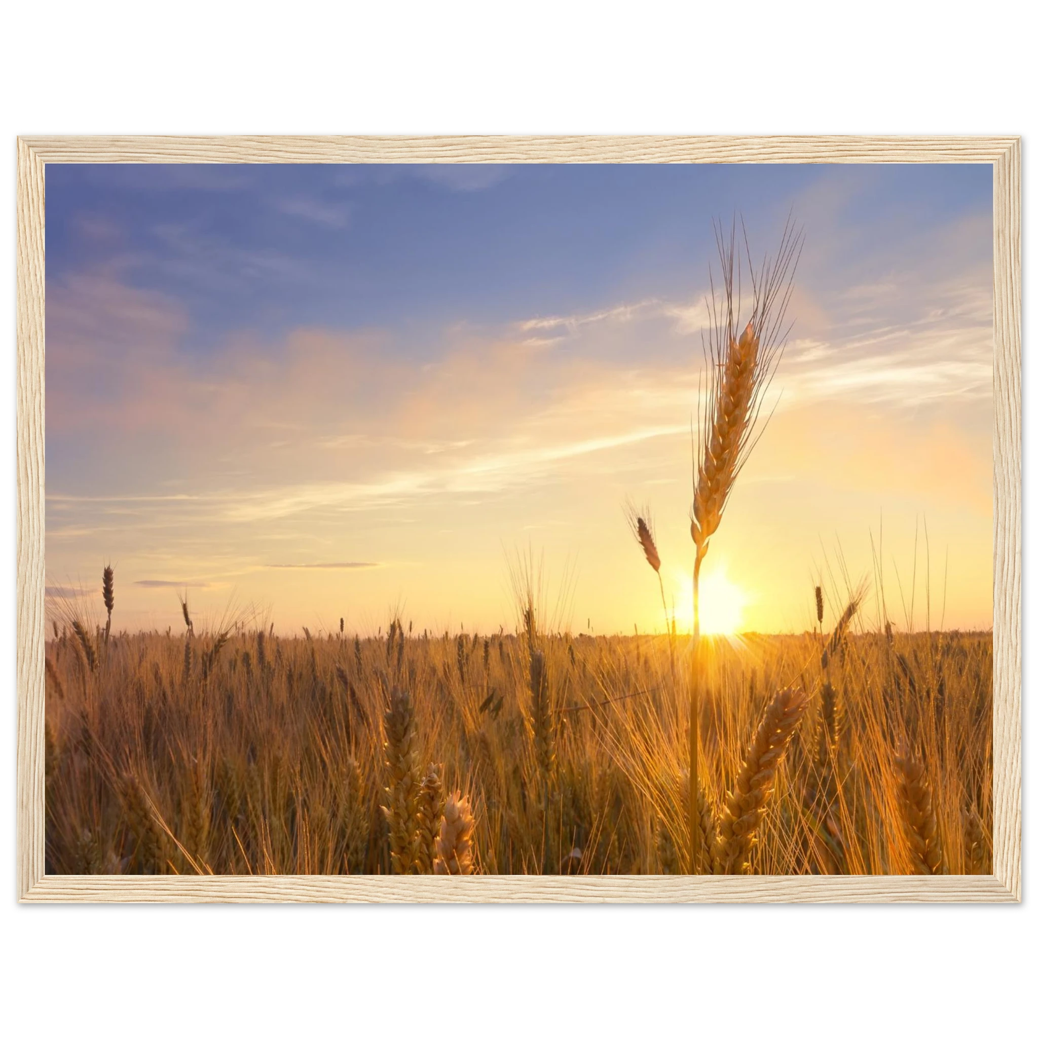 3698fcd4-7560-4dee-8cca-80e4e98f14ee