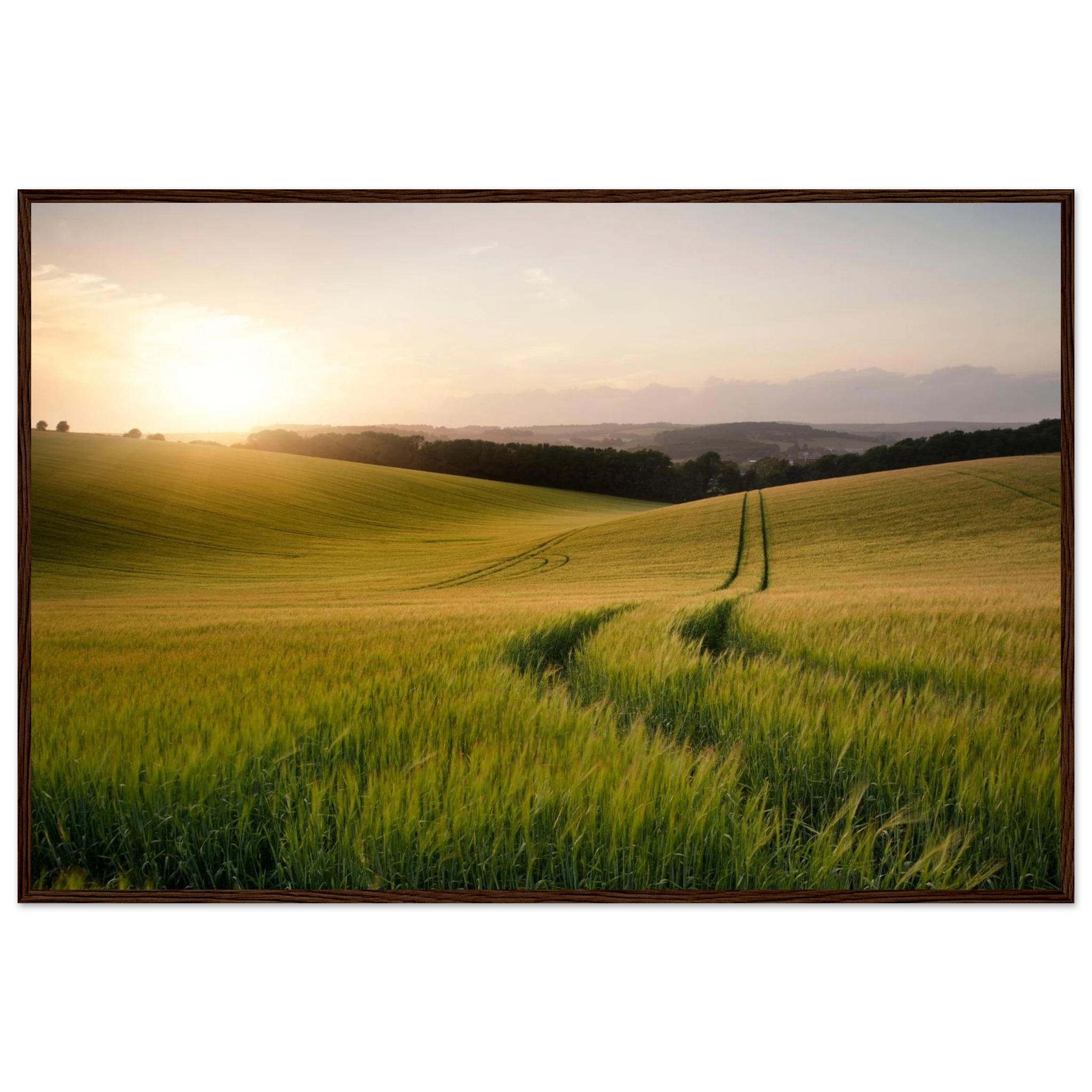 36a5c739-ed6d-4719-9870-0677a33155d4