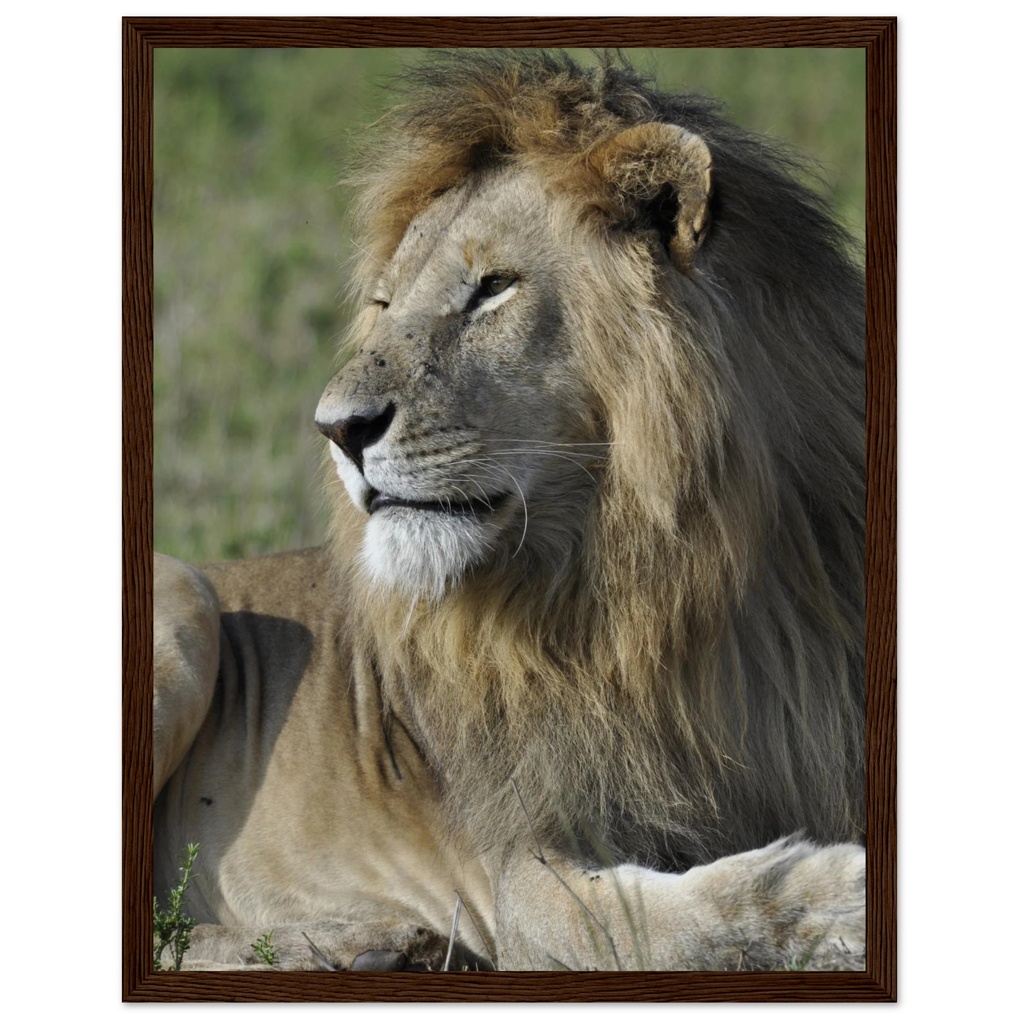 36aaba60-ceef-41dd-b017-5af5b571b5be