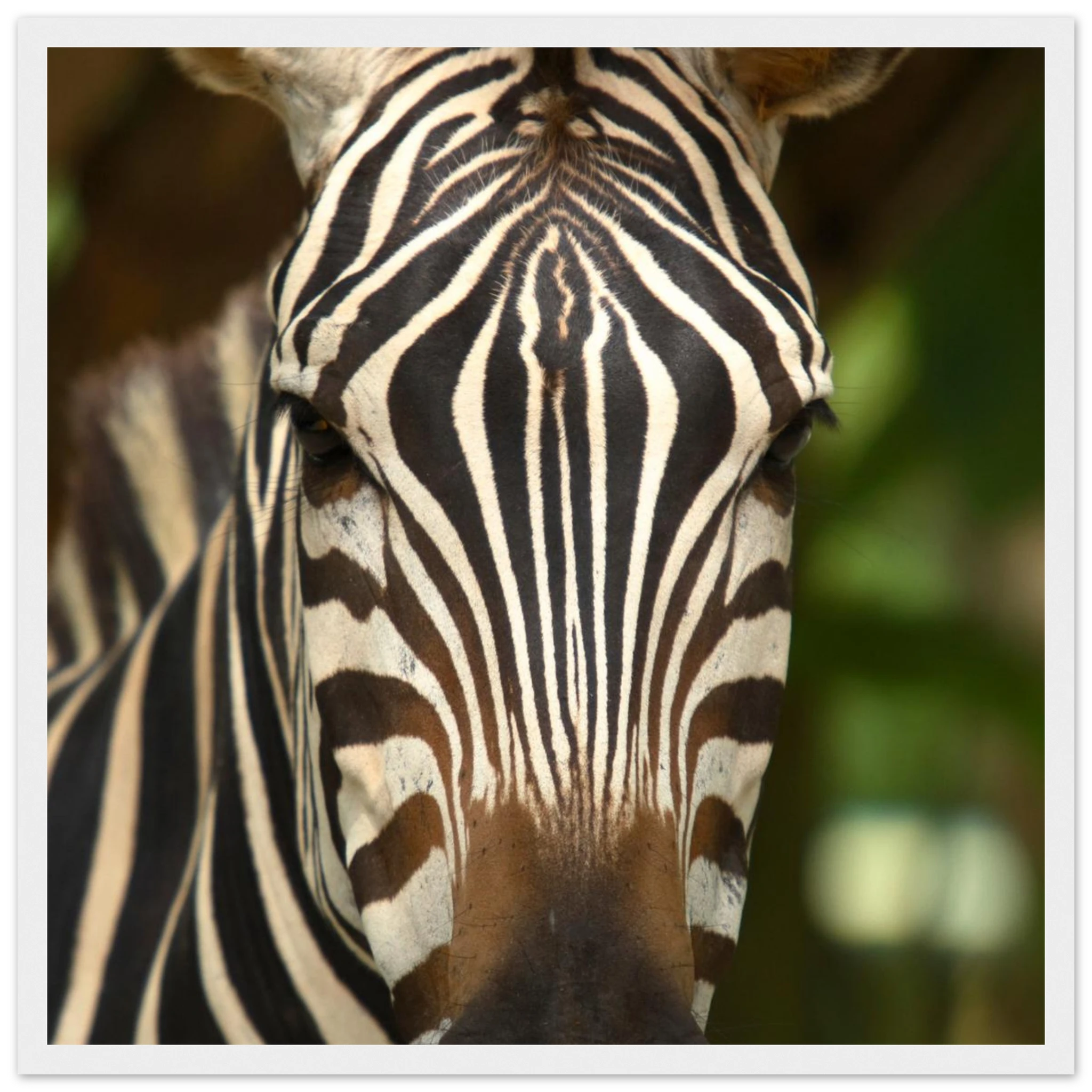 36aeded5-eab5-4193-bf2a-14d7558a4872