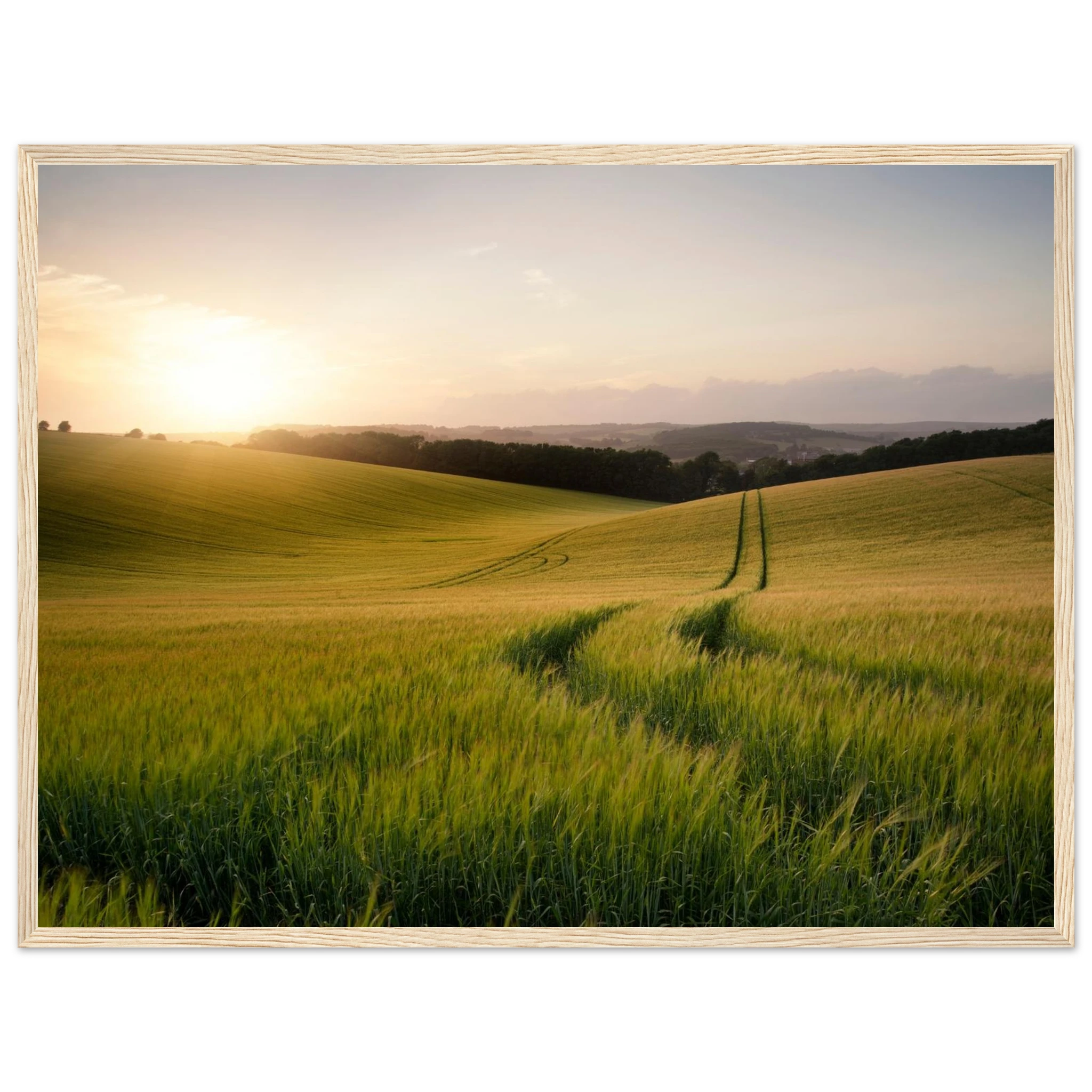 36d53330-dd11-46eb-bae2-64e3b0c7c7c4