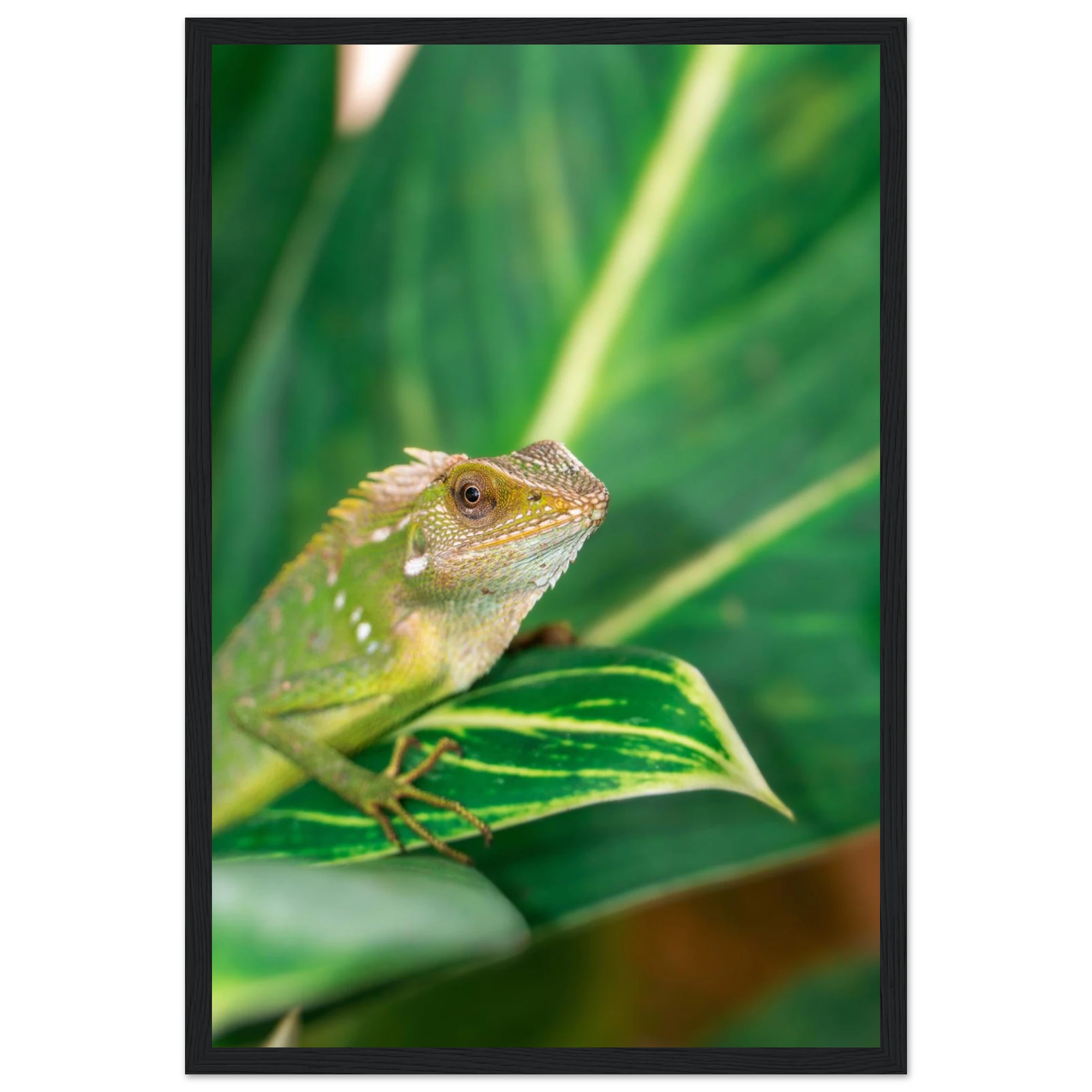 36d88158-1af1-453a-8863-e0b2e87fd50a