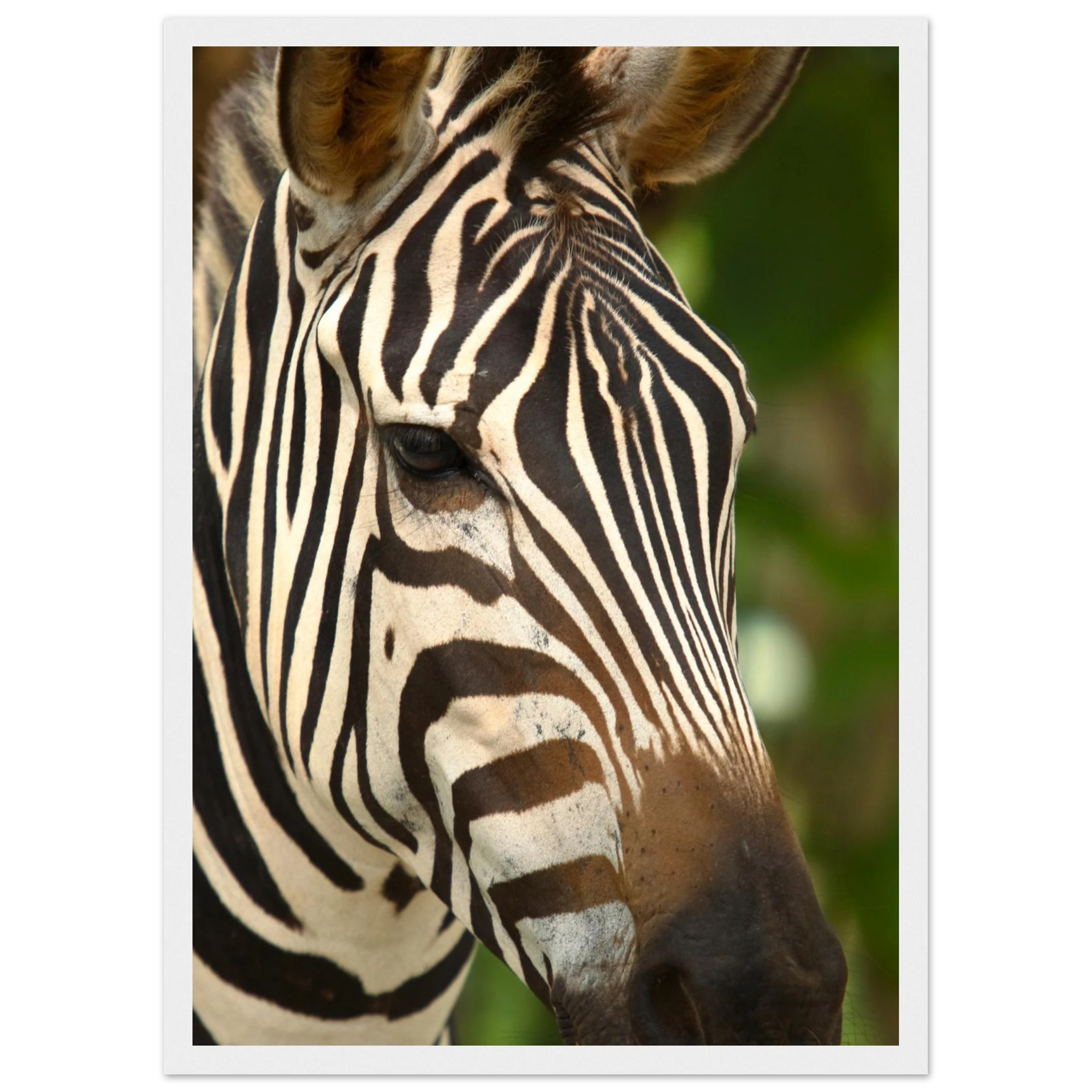 36e1b560-9cc0-41bd-9ea0-4e7df9494e82