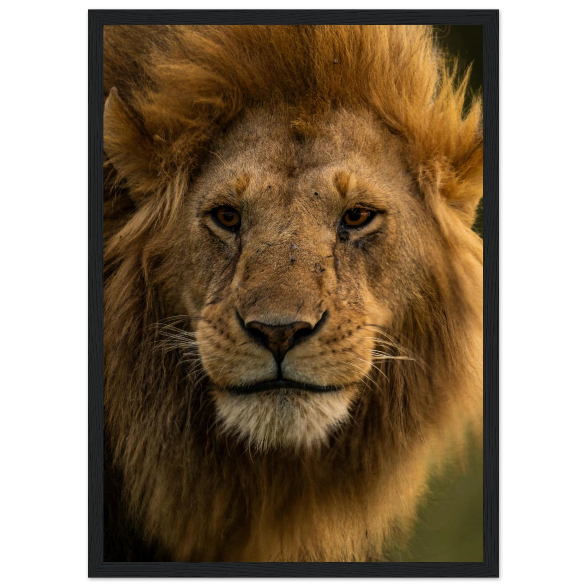 36e7ae8f-6c0d-4469-a87c-ded54735b41a