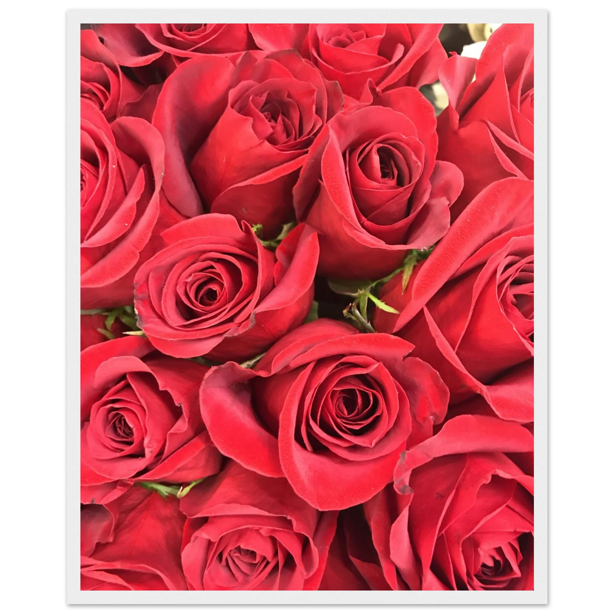 3711156b-693e-487b-9e69-a55dec7eb69a