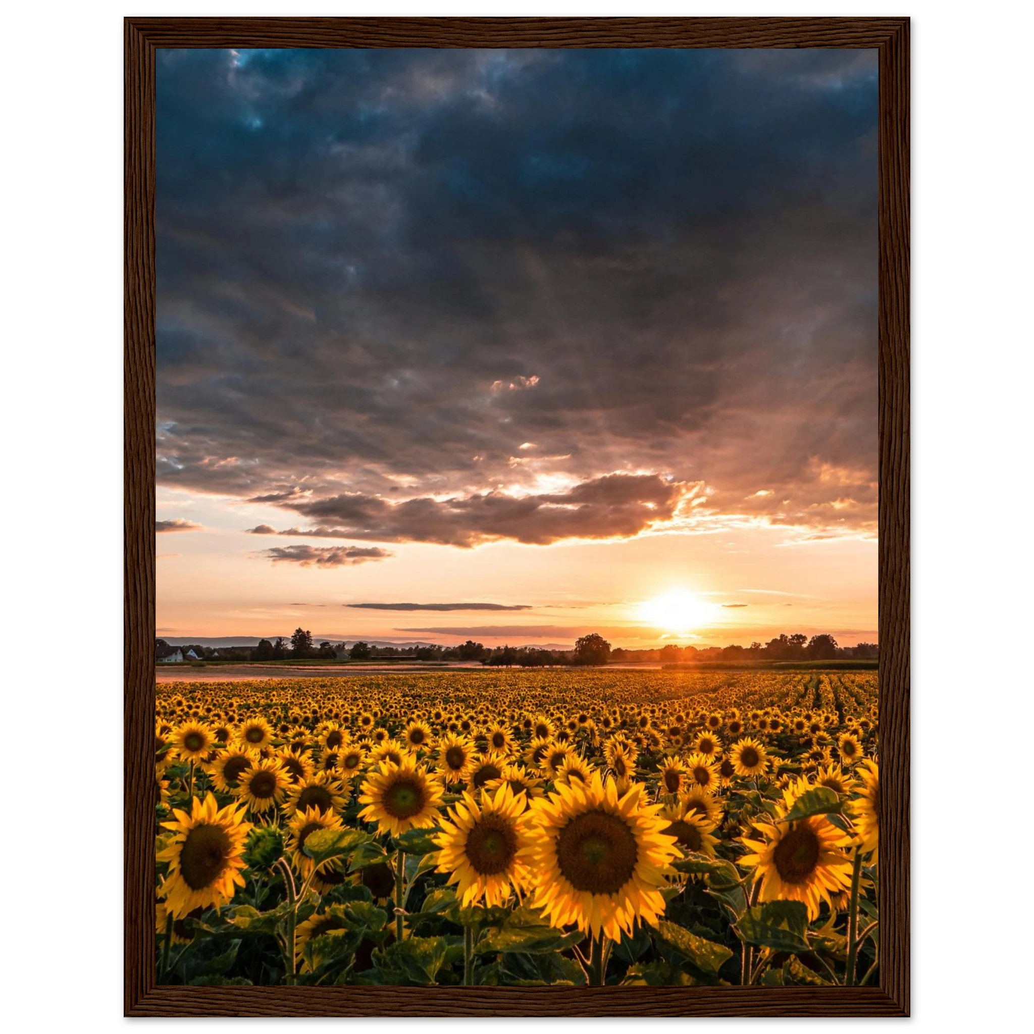 374264dc-0568-4ad1-9f2e-32c311f90071