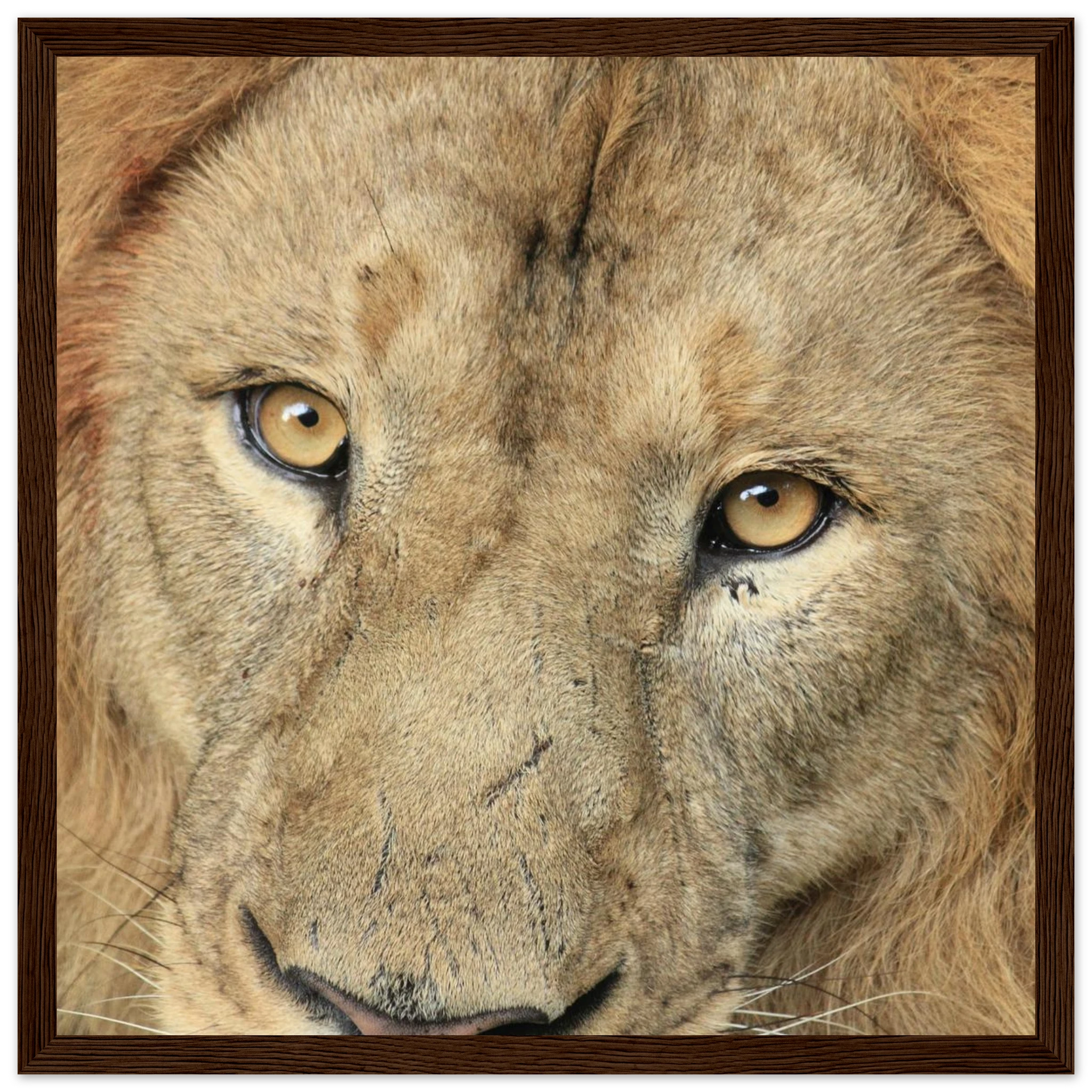 378be97c-533c-4587-abe3-eb95ae2111db