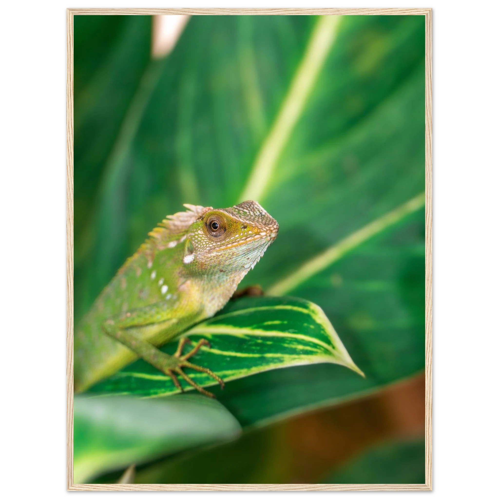 378d5f43-6b9f-4b14-9d16-e2c2e9be505a