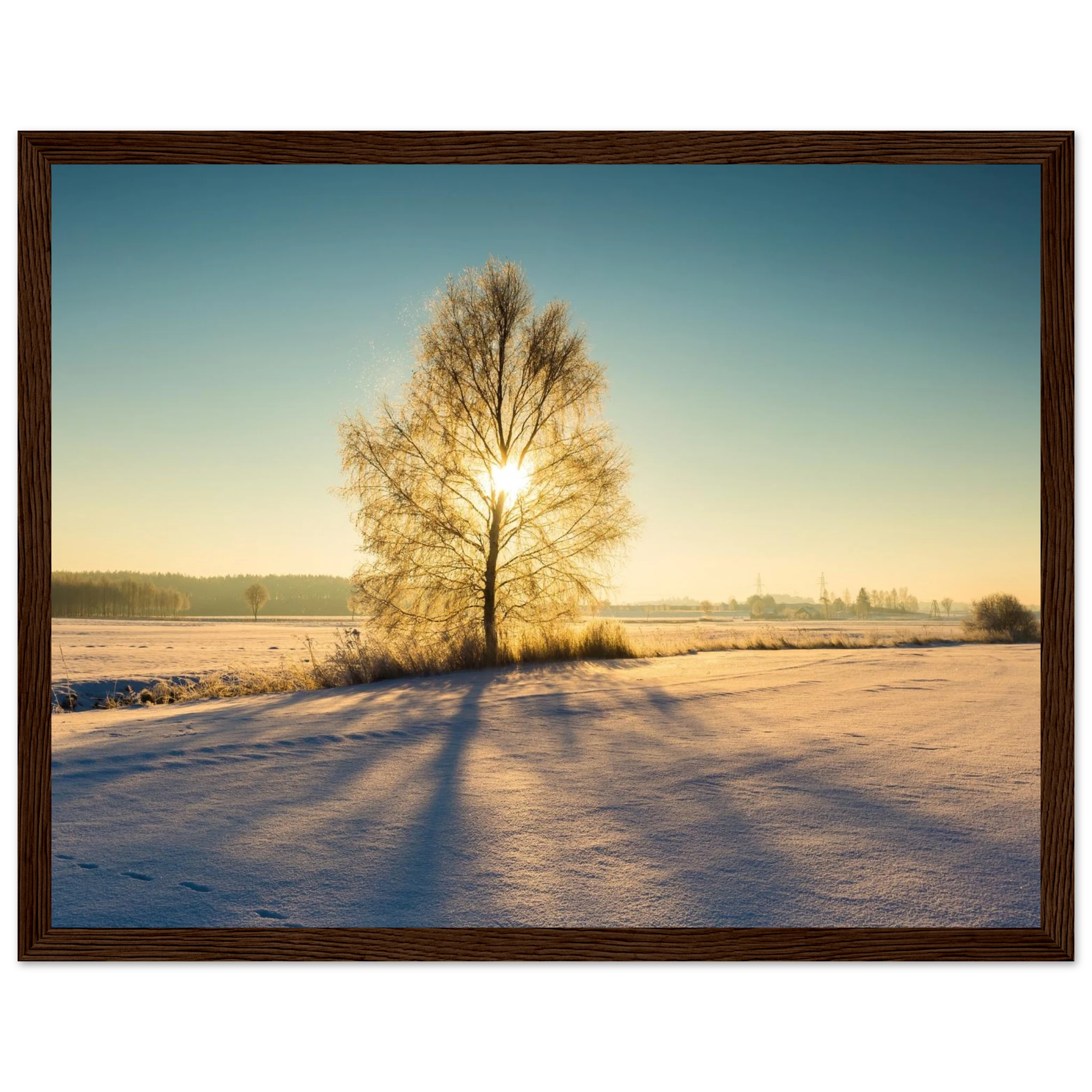 37ab81bd-8013-4f51-9062-32fc163ac1f3