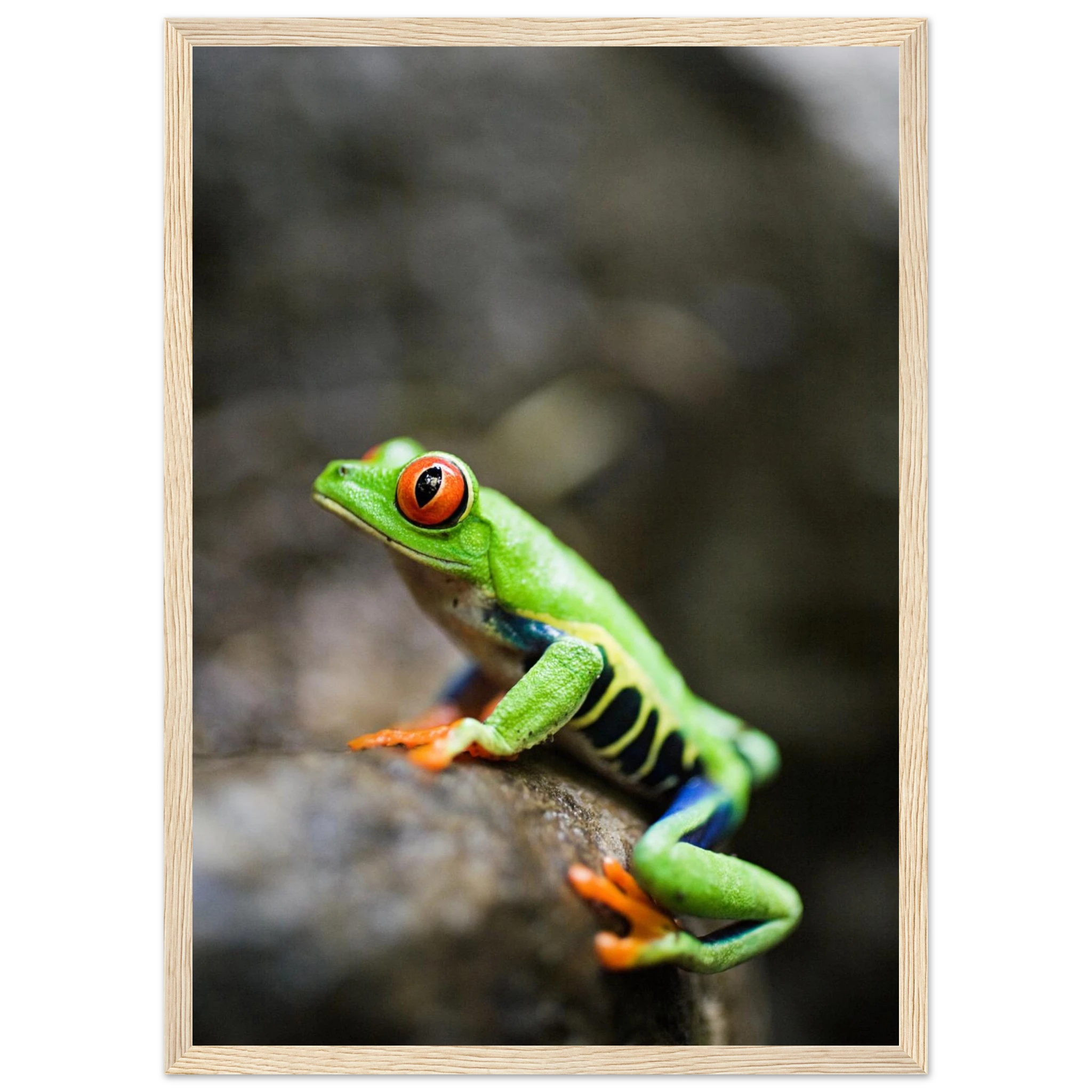 37d30aa4-3c4c-44eb-b8c3-7d7f81ef24fb