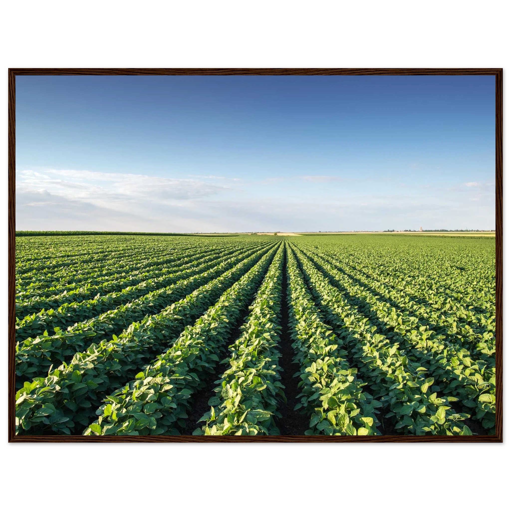 37e26288-b486-4410-994a-226cbd206e64