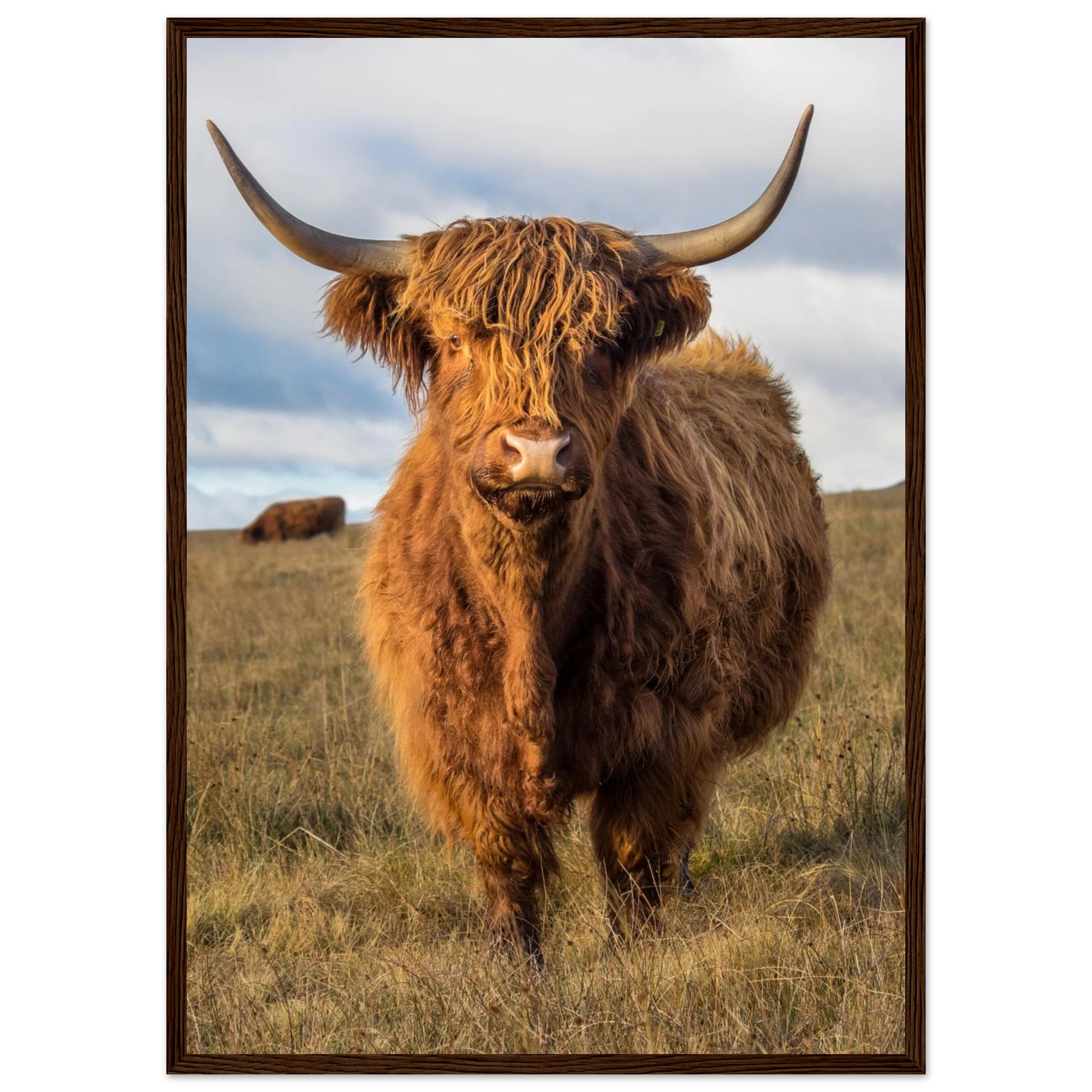 37e75674-0c5b-4bb7-837b-63d864fb160f