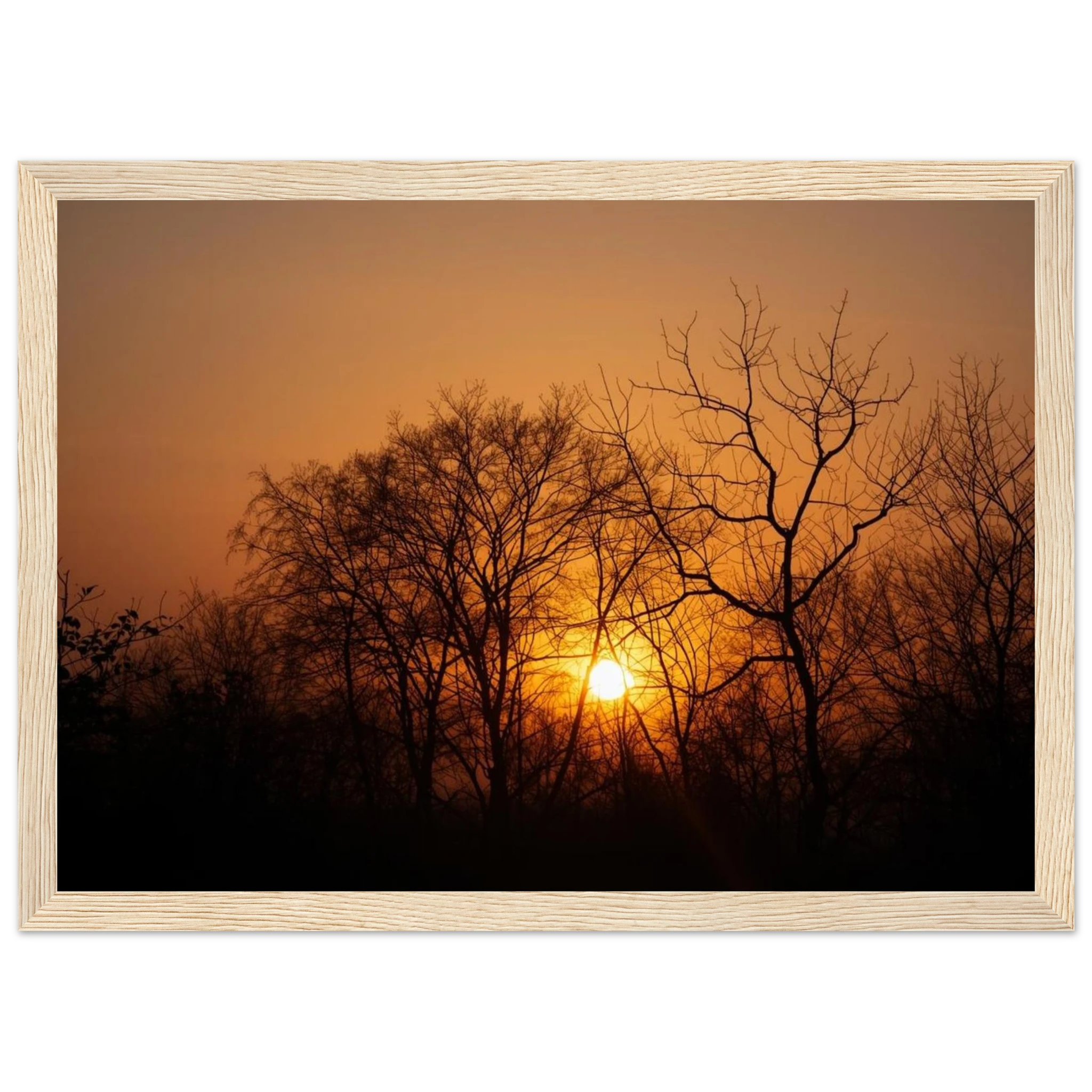 37f7578e-ff14-42e6-a658-93be251e041e