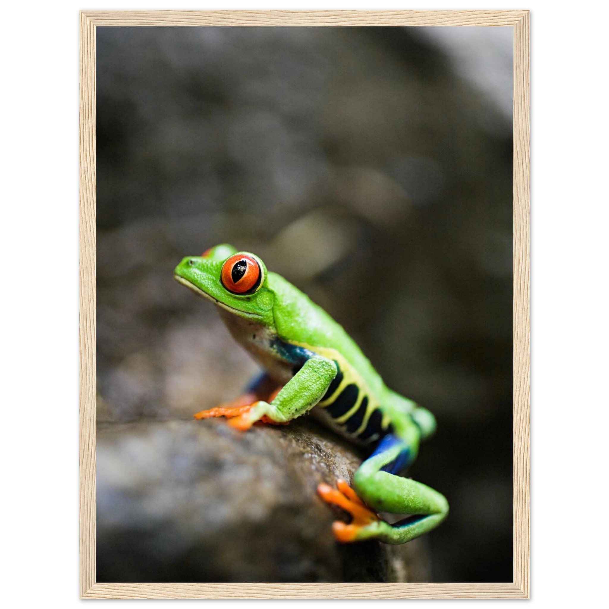 38154f91-a936-44b6-a45b-0b1e8f02f62d